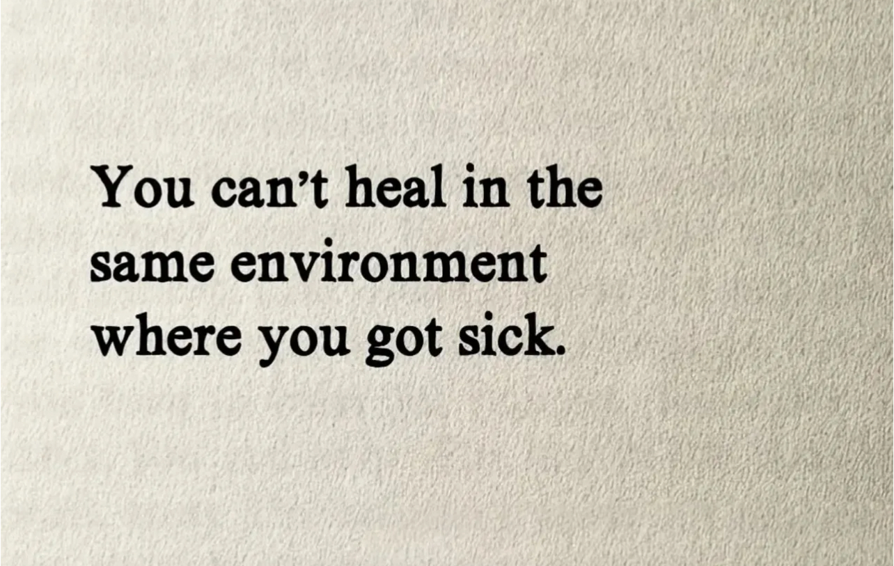 Insight