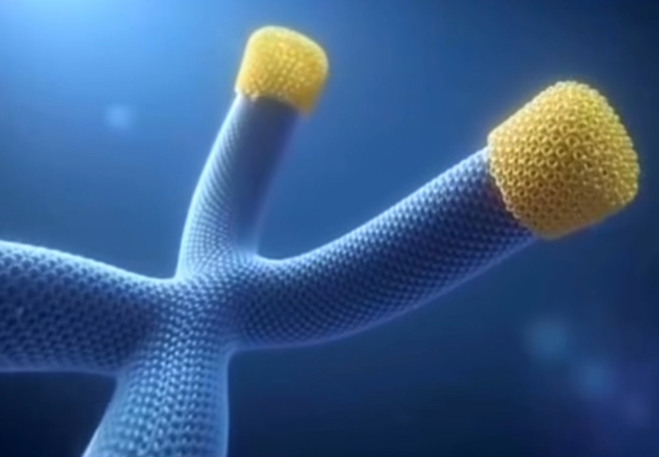 Chronic stress causes aging