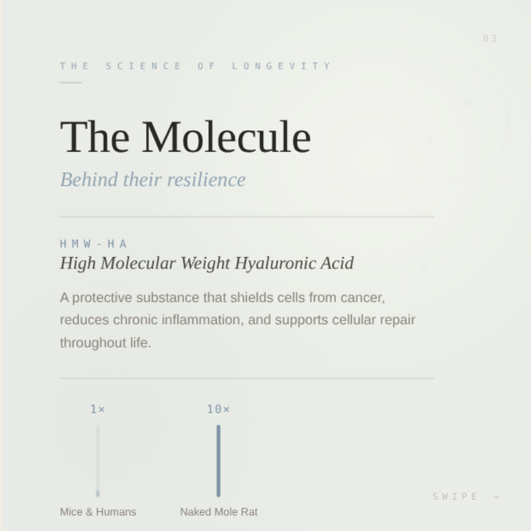 The molecule your body is losing.