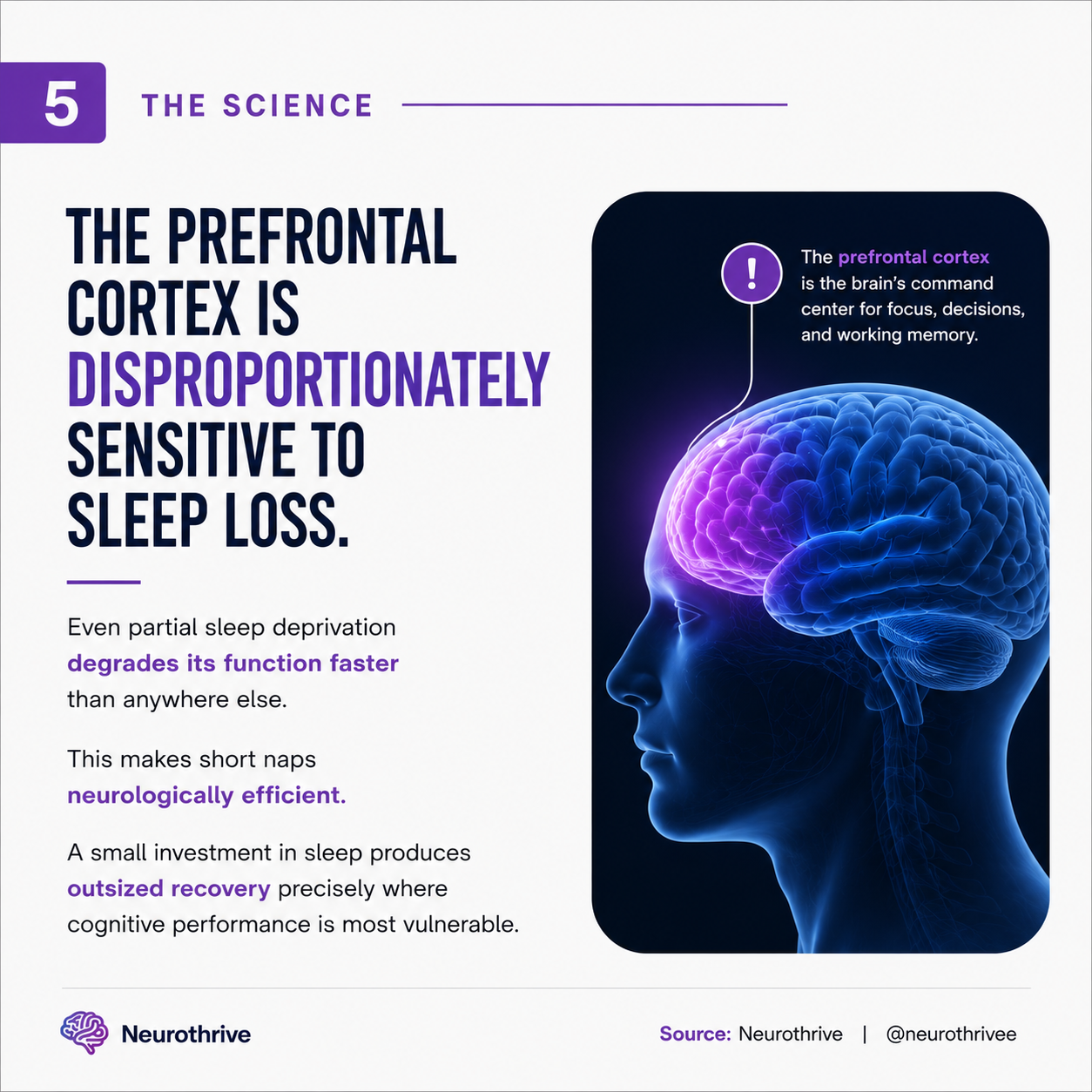 Sometimes our brain just needs a 30-minute nap.