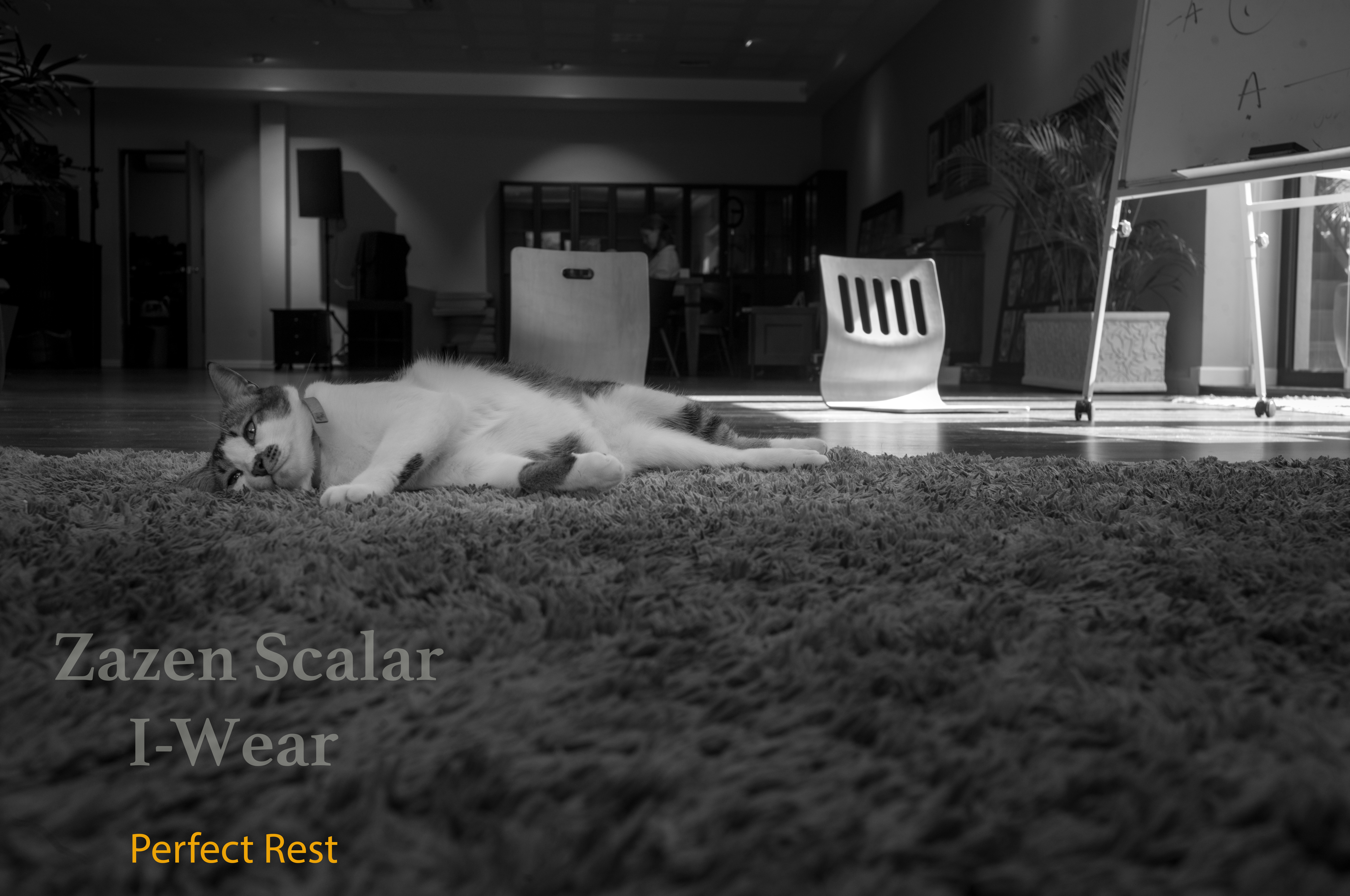 Zazen Scalar