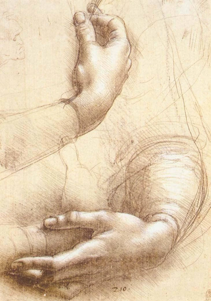 Studying Da Vinci’s drawings. Looking close and Analyzing his lines, wow the awareness he had was incredible. The height of an art master 🙏