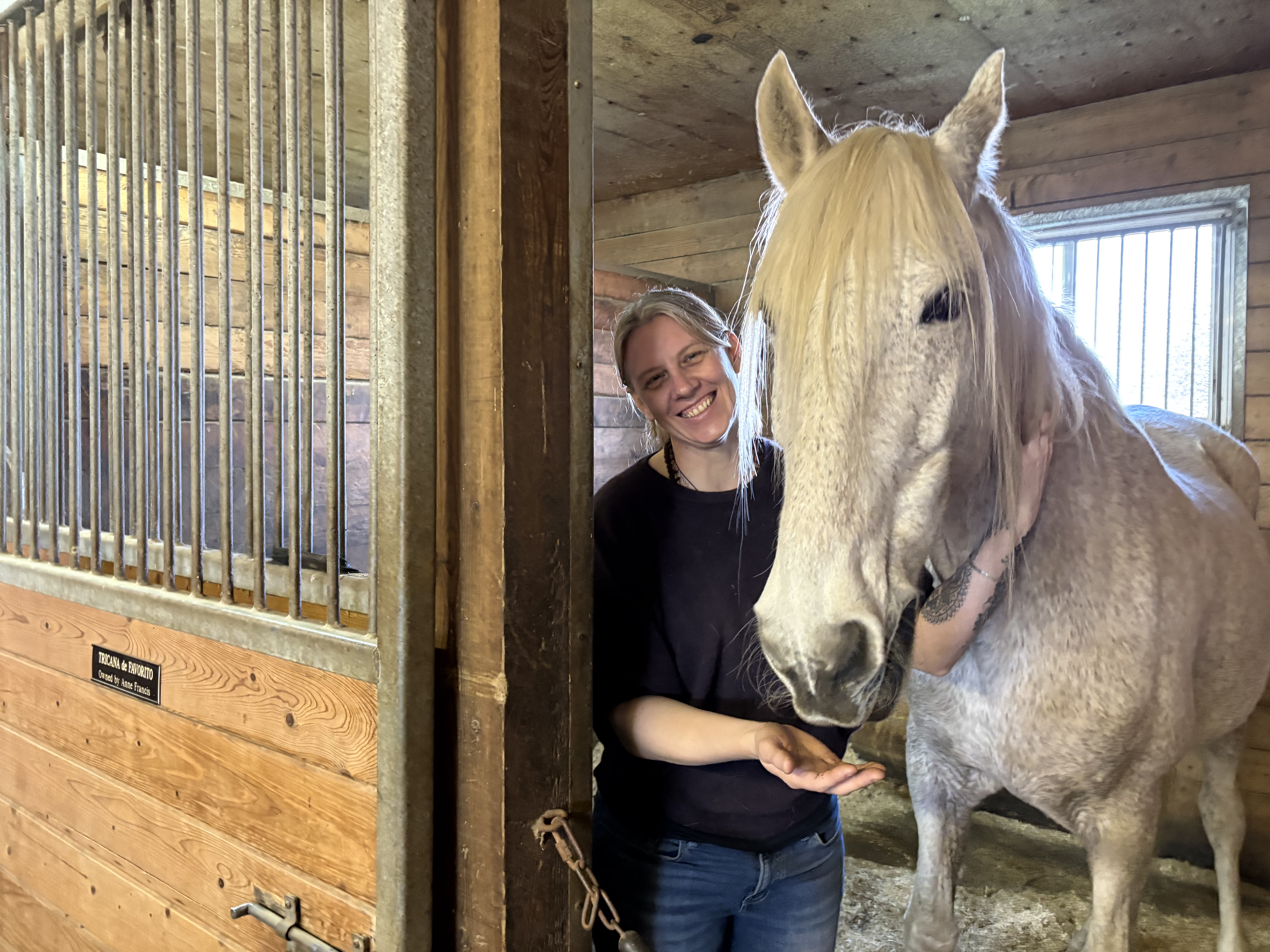 Horse physio