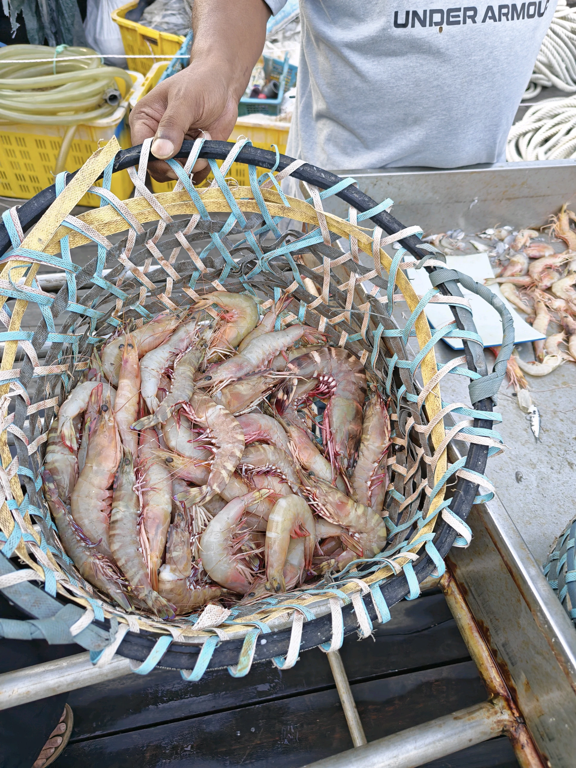Fish and food