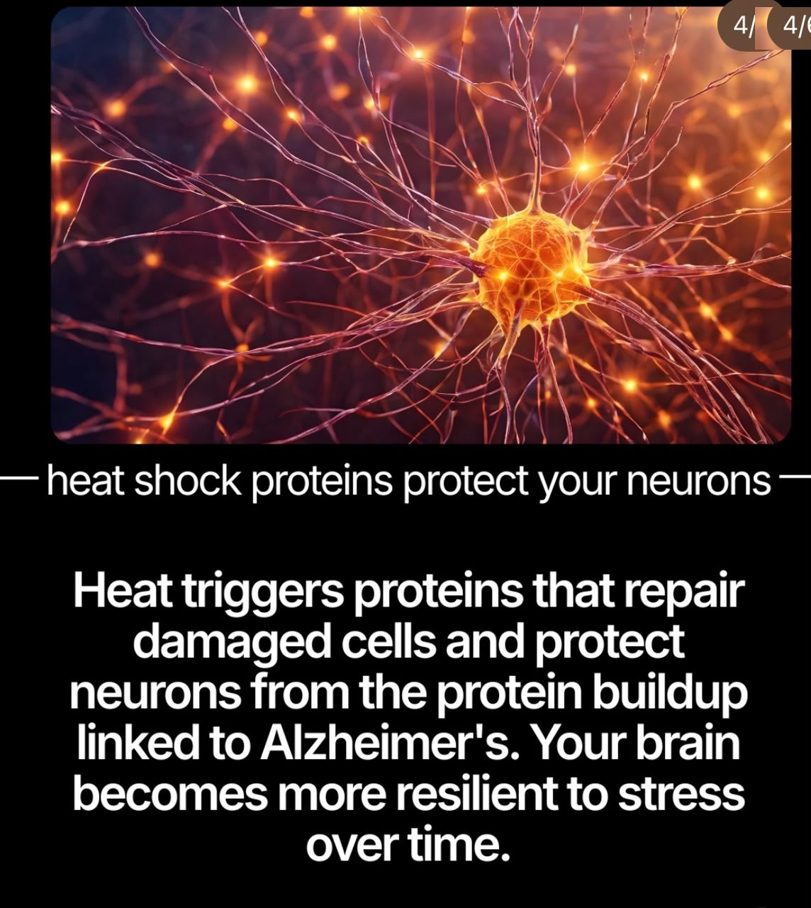 04_Heat_Shock.jpg