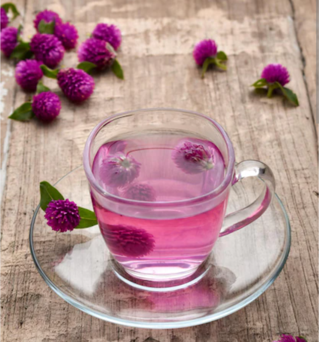 [Tea Party] Globe Amanranth