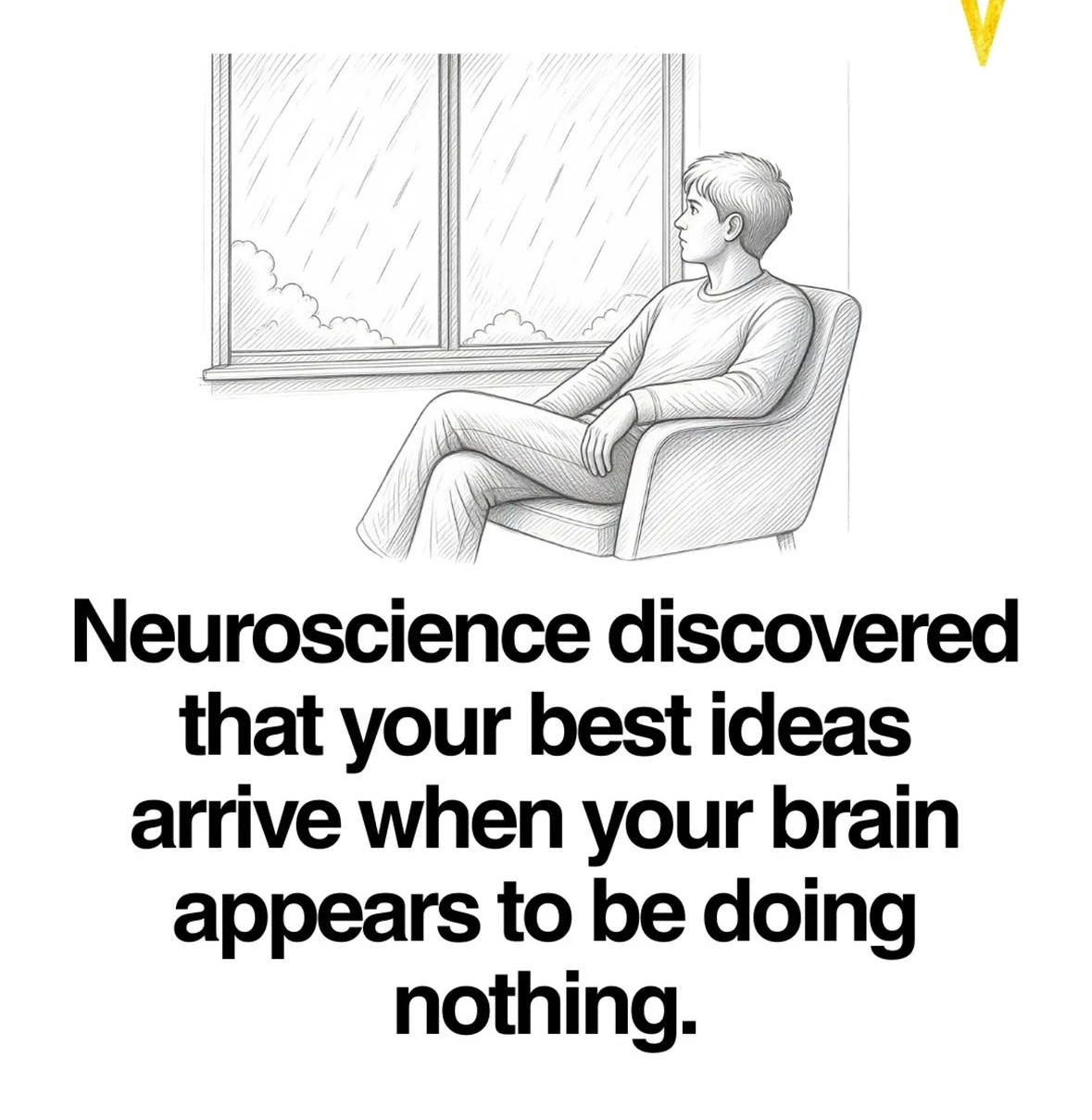 Neuroscience and the brain!