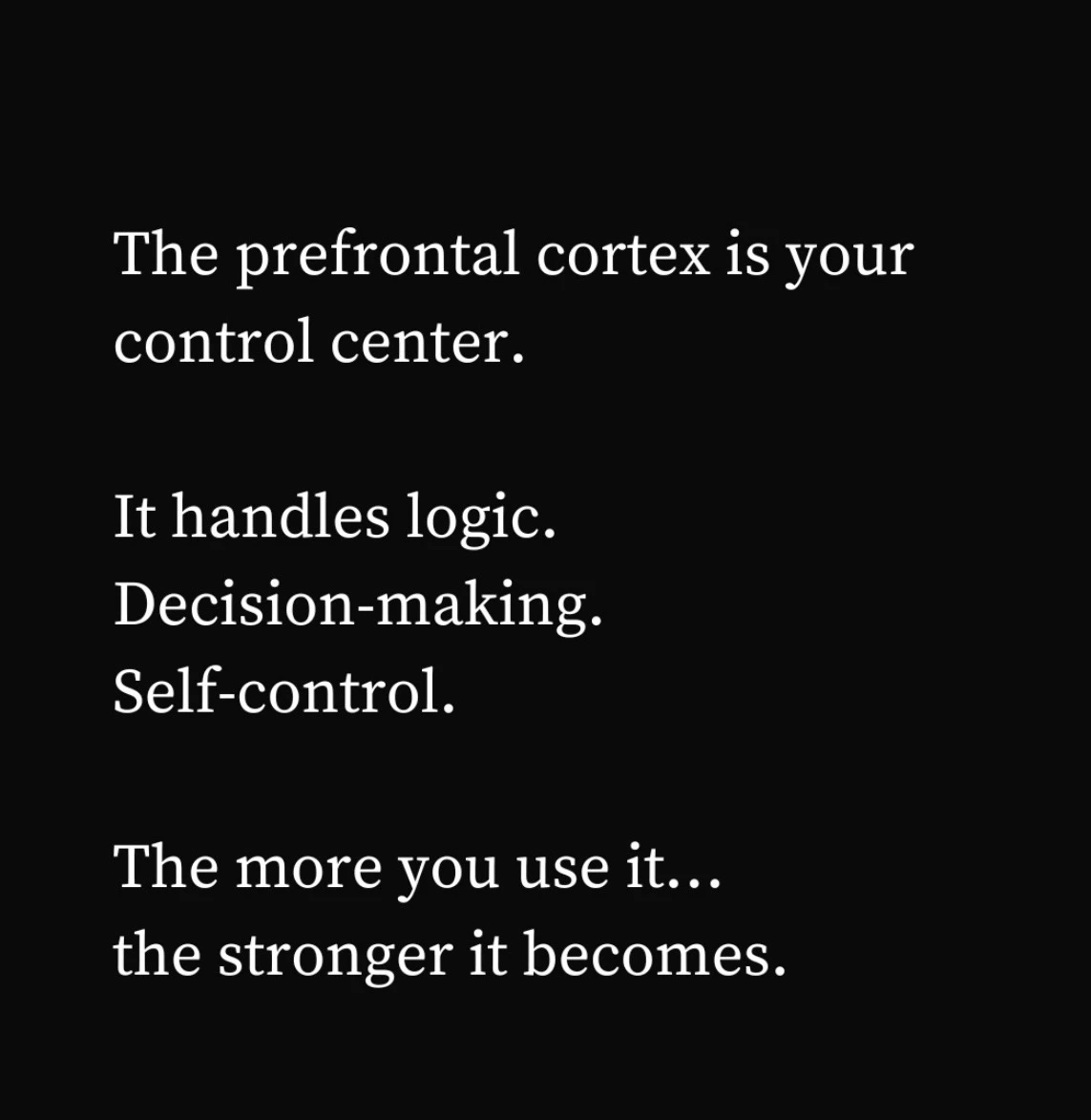Amygdala vs Prefrontal cortex
