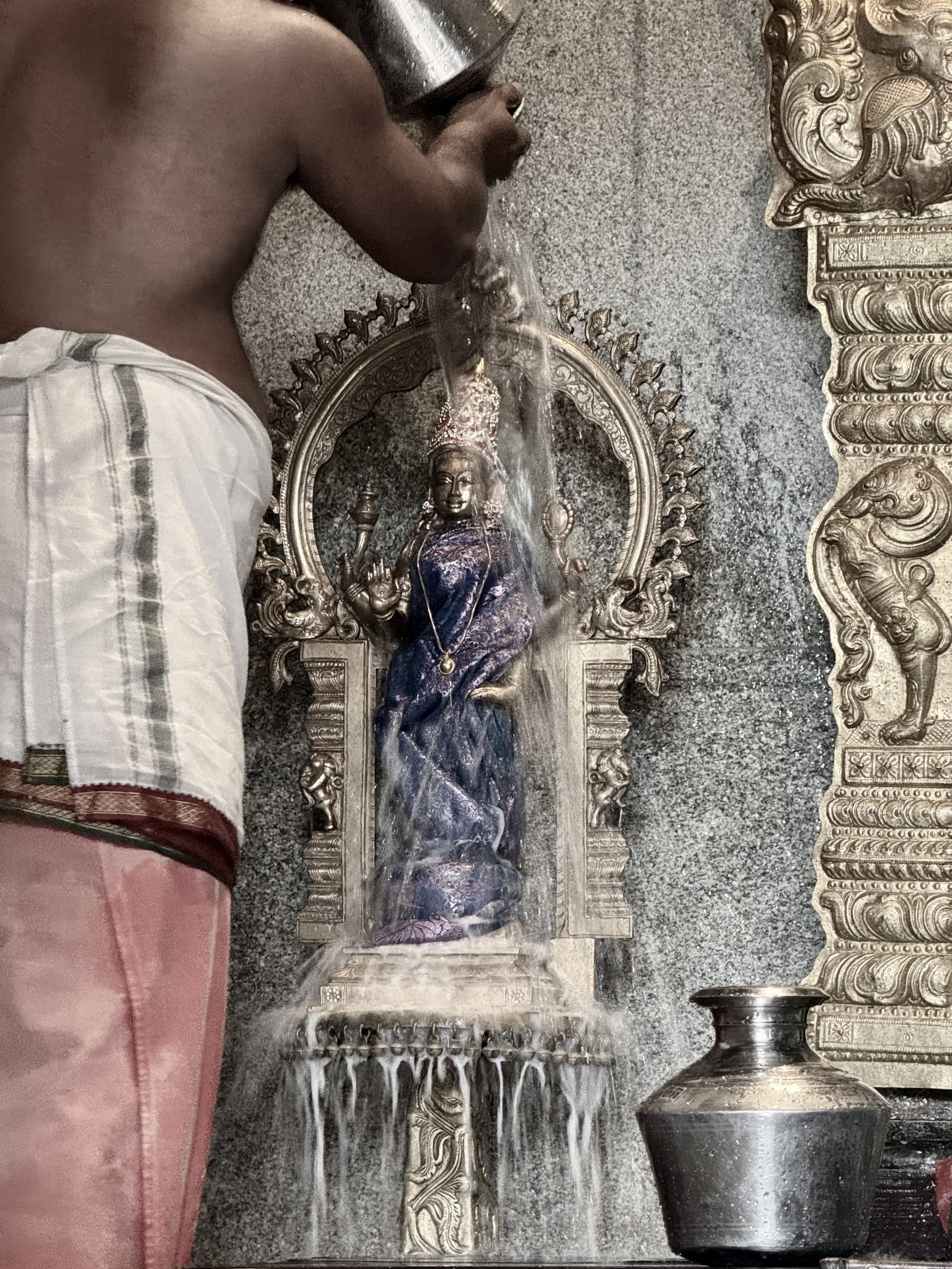 Palak amman abishegam