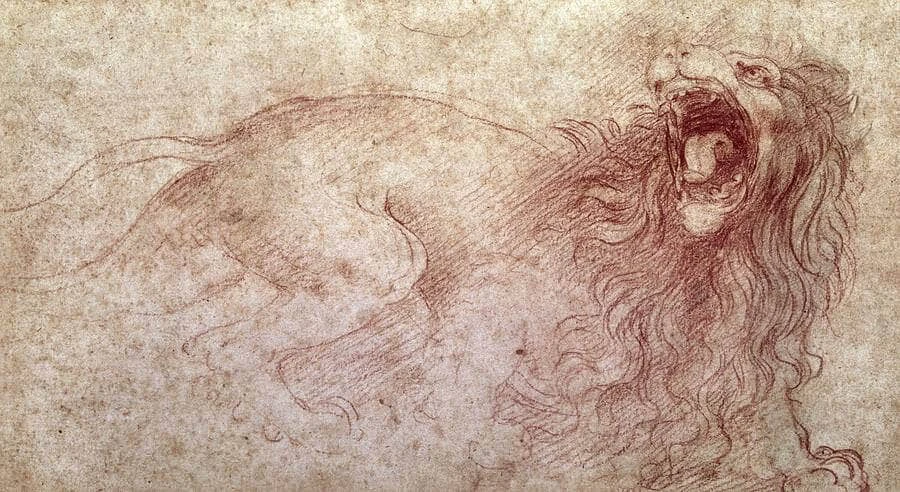 Studying Da Vinci’s drawings. Looking close and Analyzing his lines, wow the awareness he had was incredible. The height of an art master 🙏