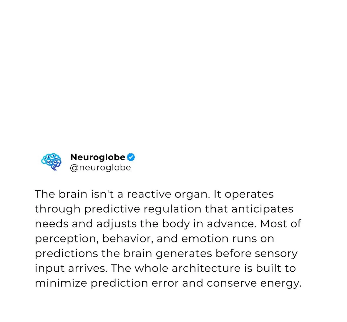 The brain and identity!