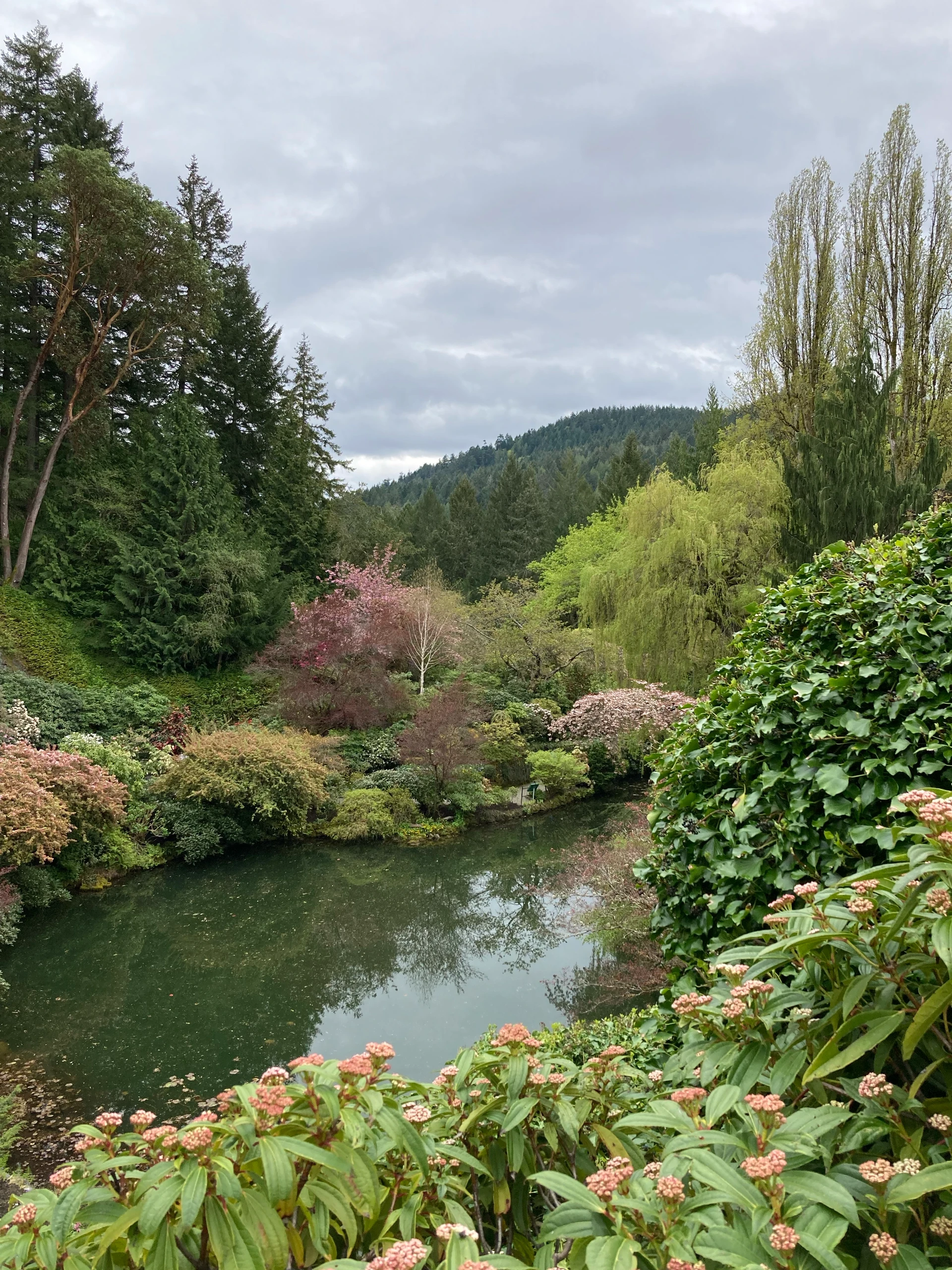 Buchardt Gardens