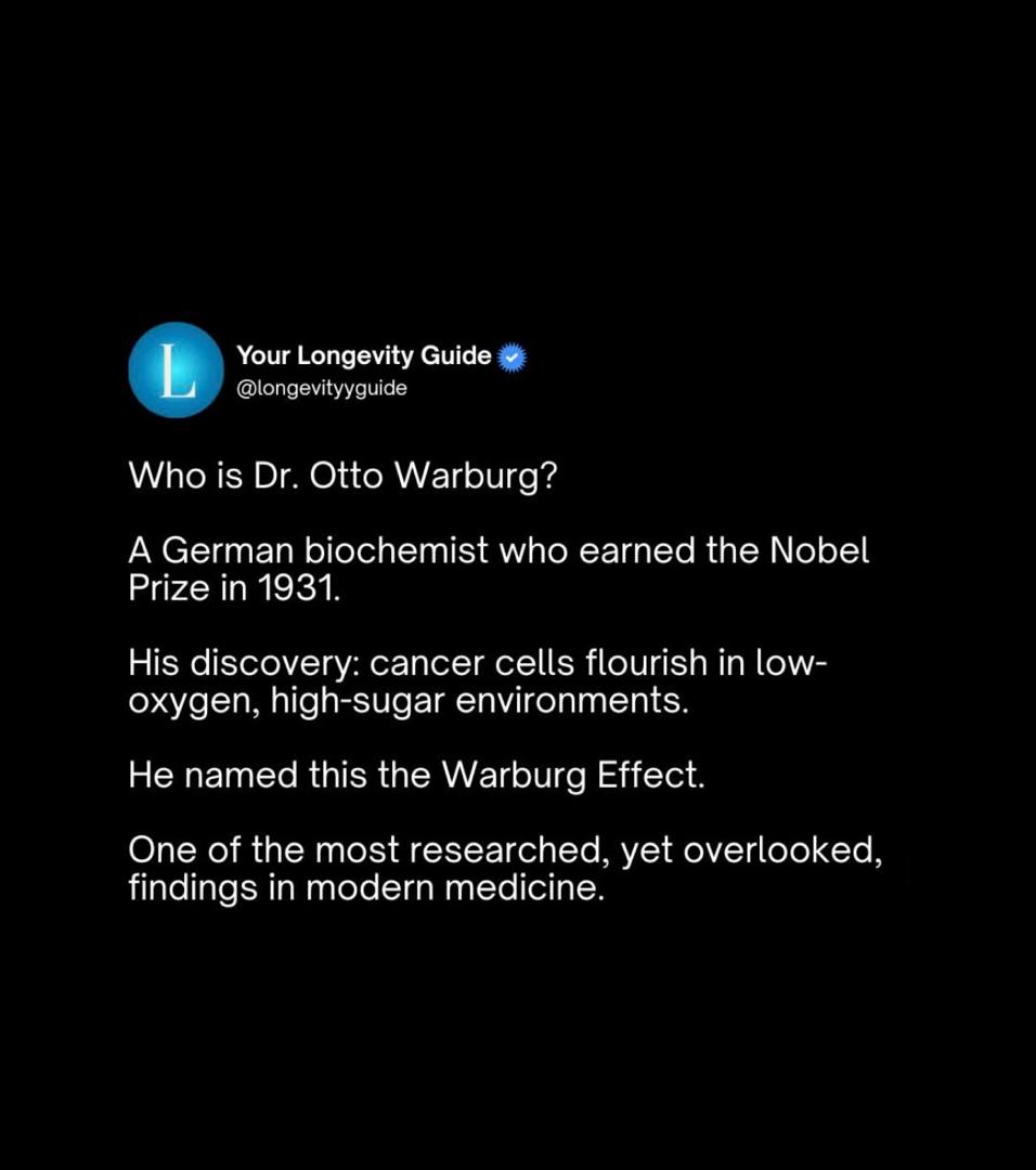 The Warburg Effect