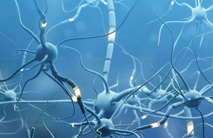 Receptors!