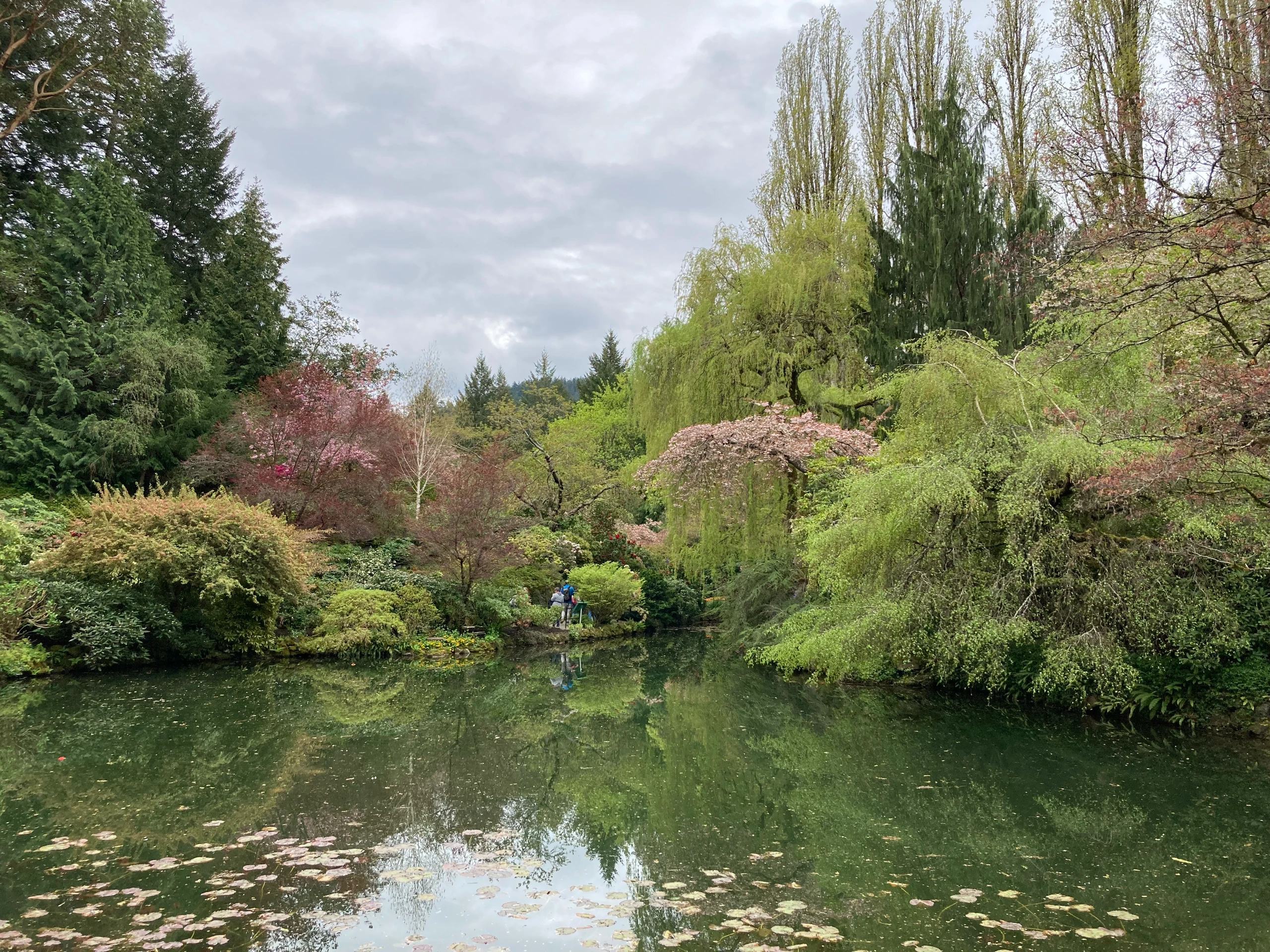 Buchardt Gardens