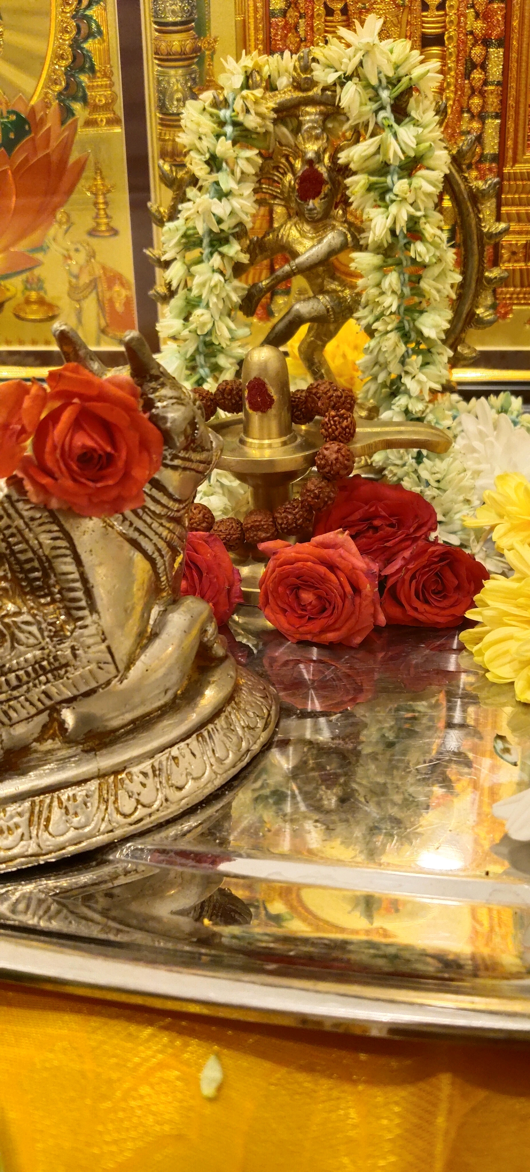 Nandhi🙏