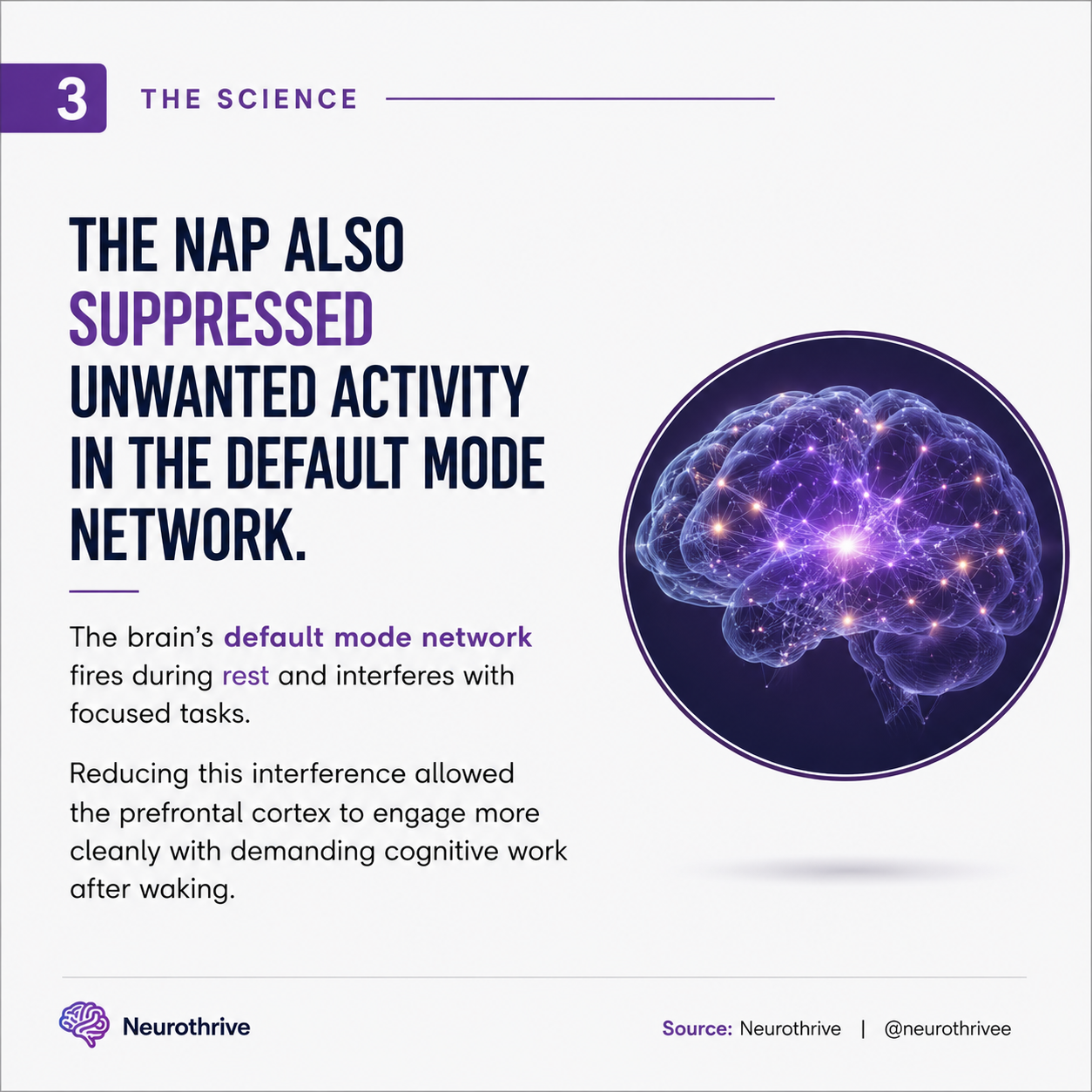 Sometimes our brain just needs a 30-minute nap.