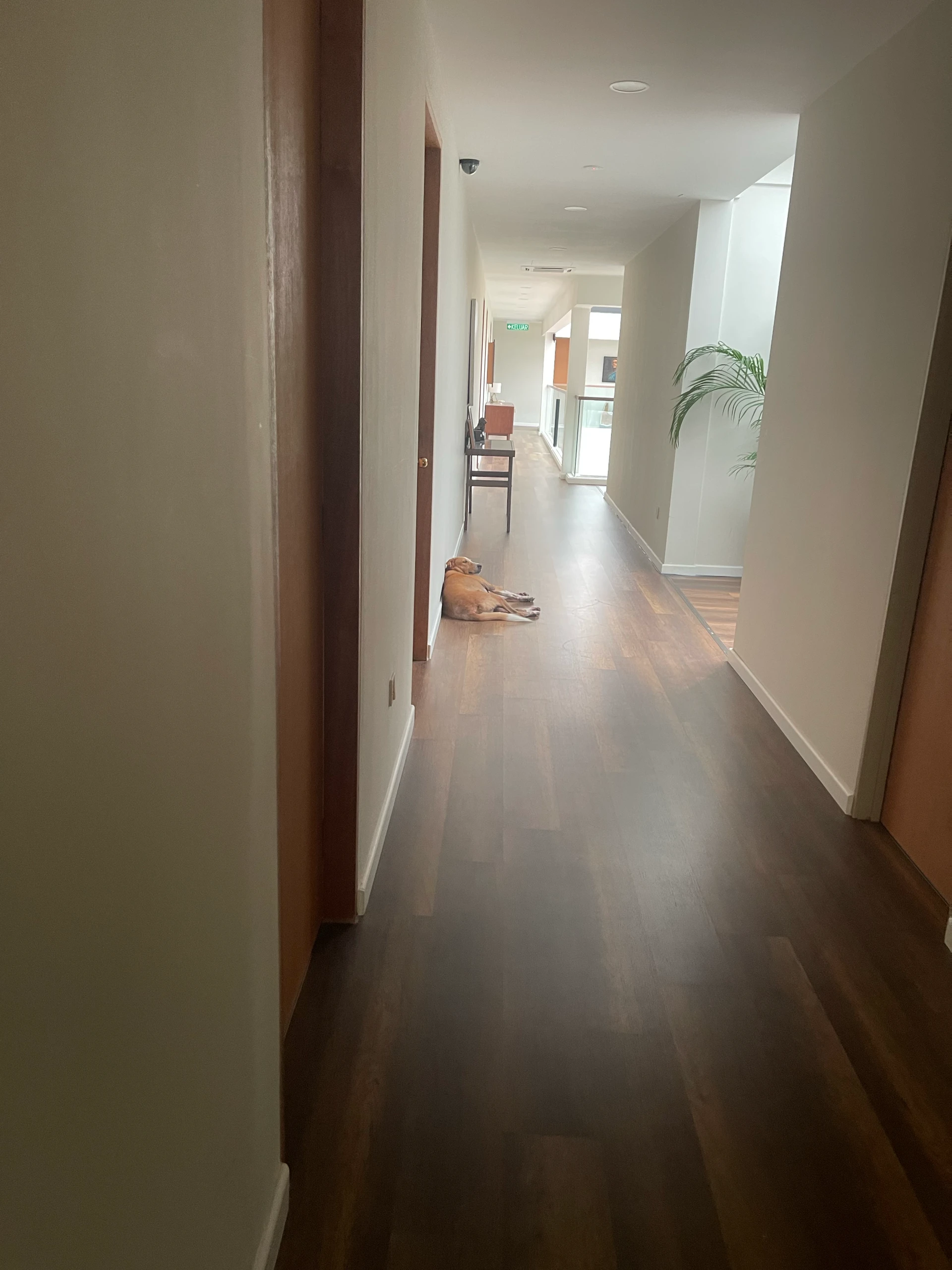 image_picker_0BF04E2F-F33D-4228-9603-514281A9E9D0-81678-00000C1998C2B621.webp