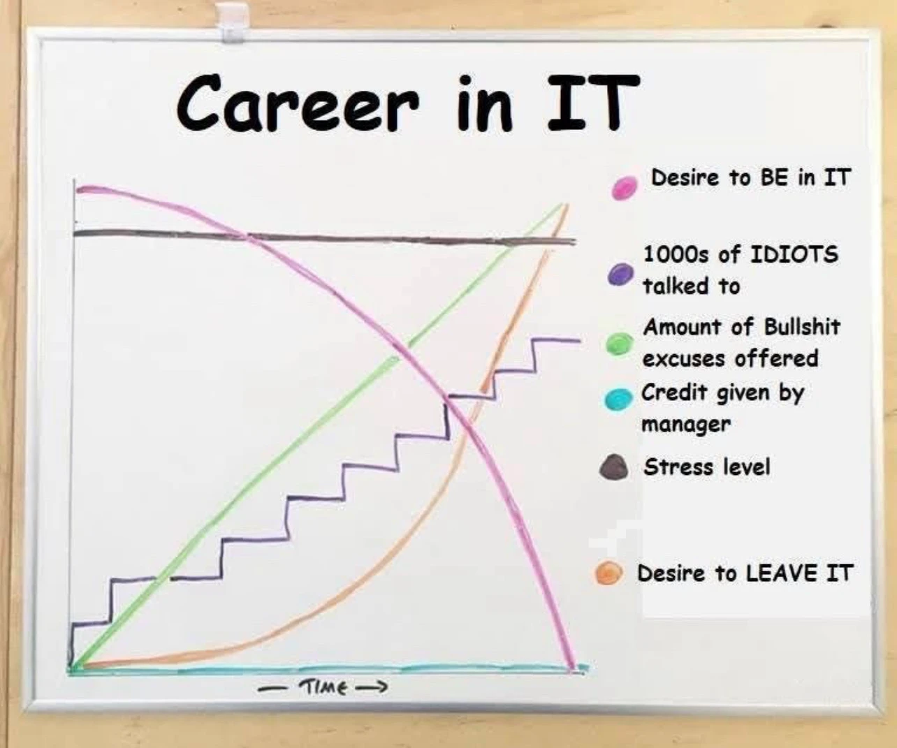 Career in Technology