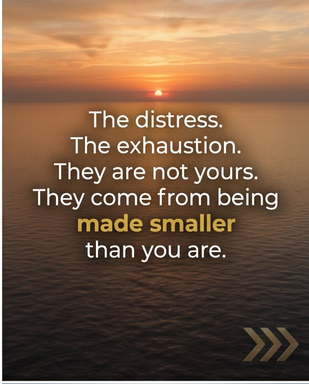 Inspiration from an Online Meditation with Master Vimal