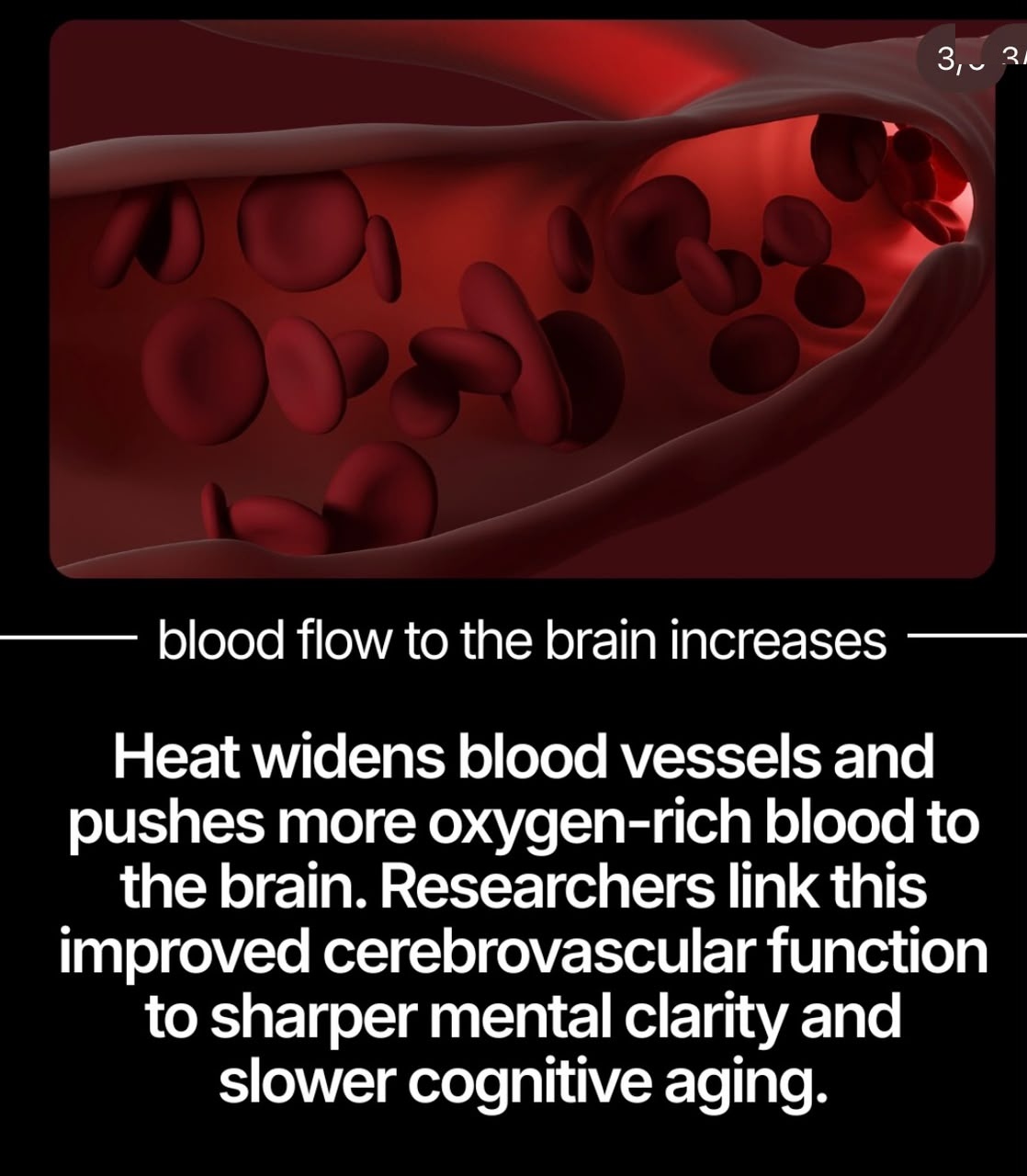 03_Blood_Flow.jpg