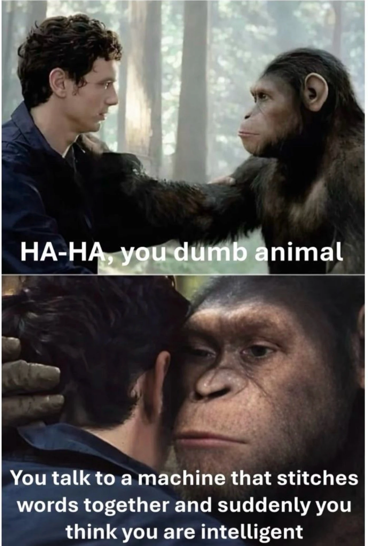 When the monkeys start judging 🙈🙊