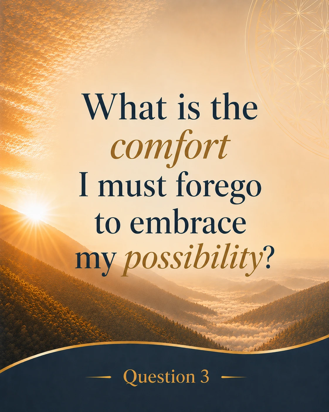 Answer 7 Questions to Reflect: How to Build a Conscious Life