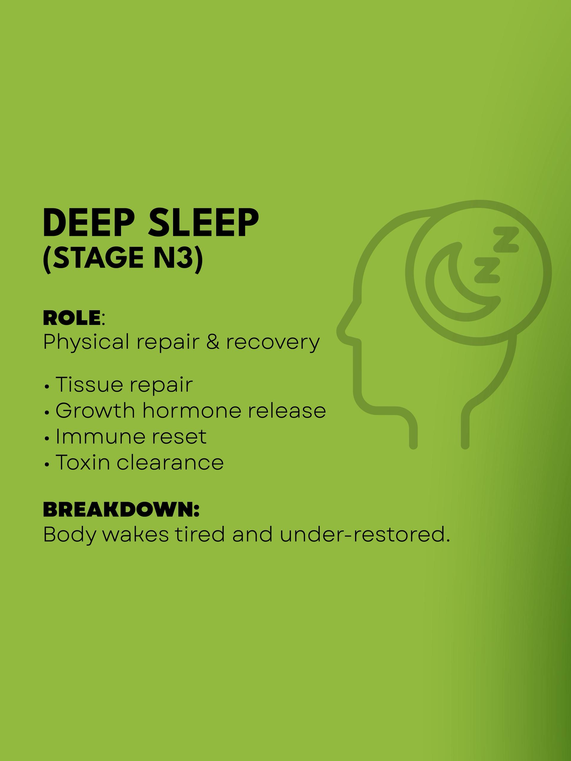 How Sleep Actually Works.