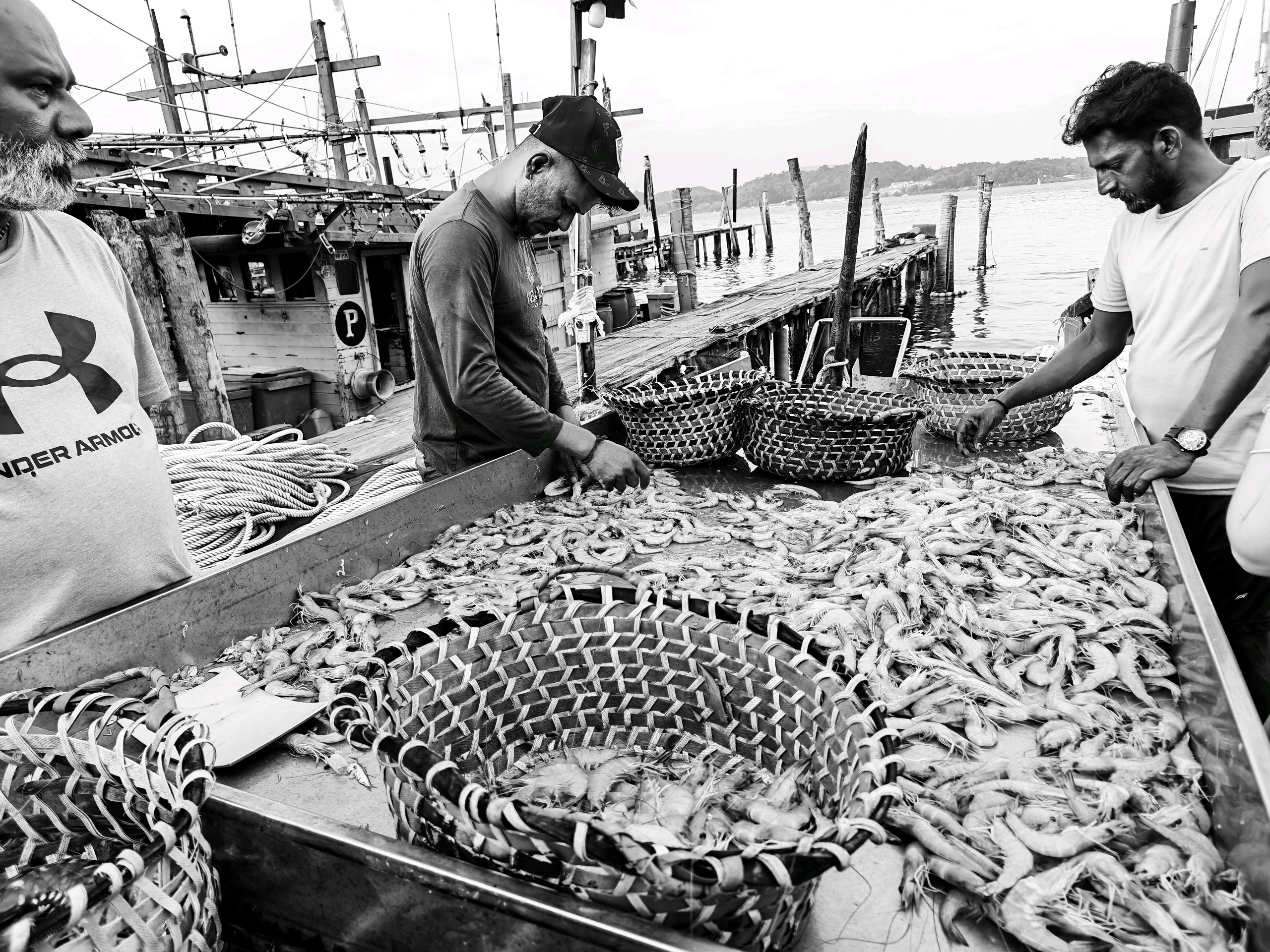 Fish and food