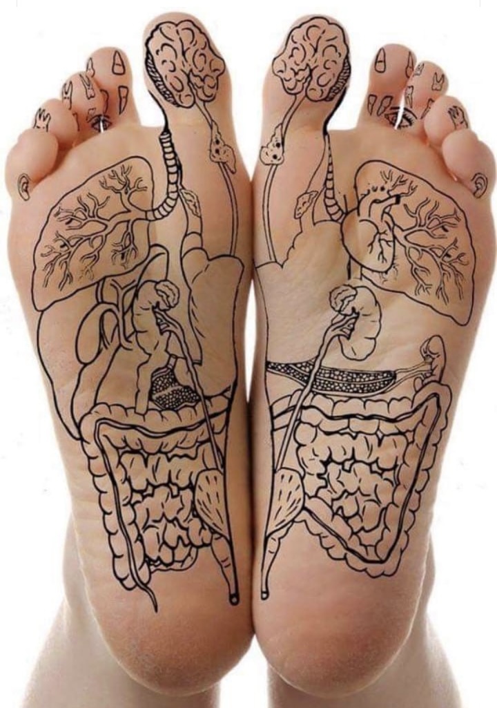 Feet and Organs