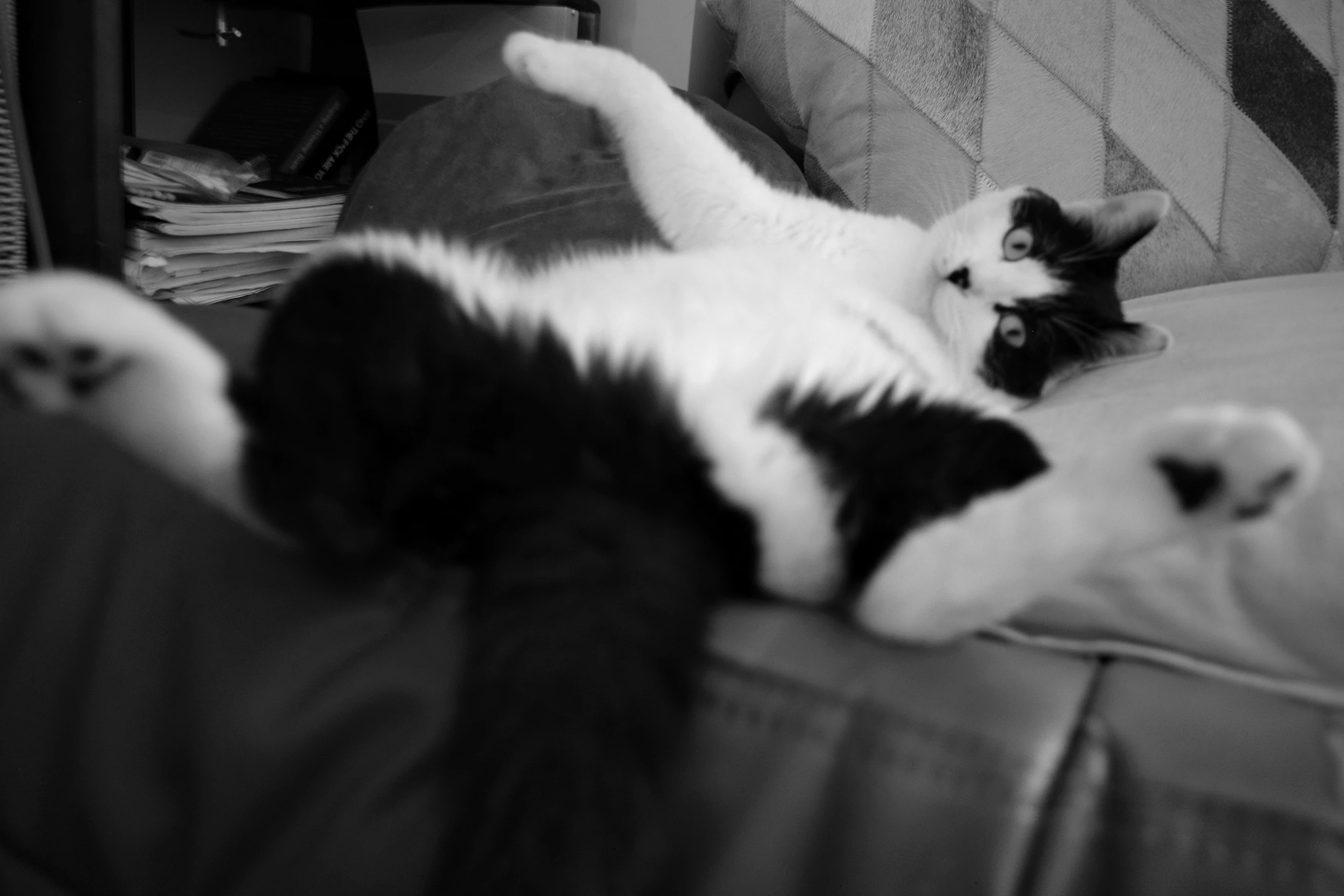 Her favorite spot