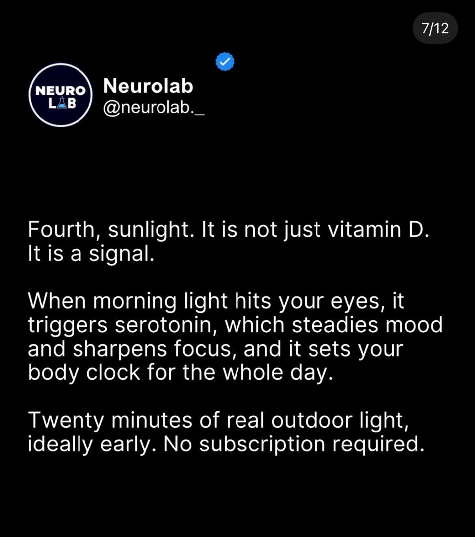 07_sunlight.jpeg