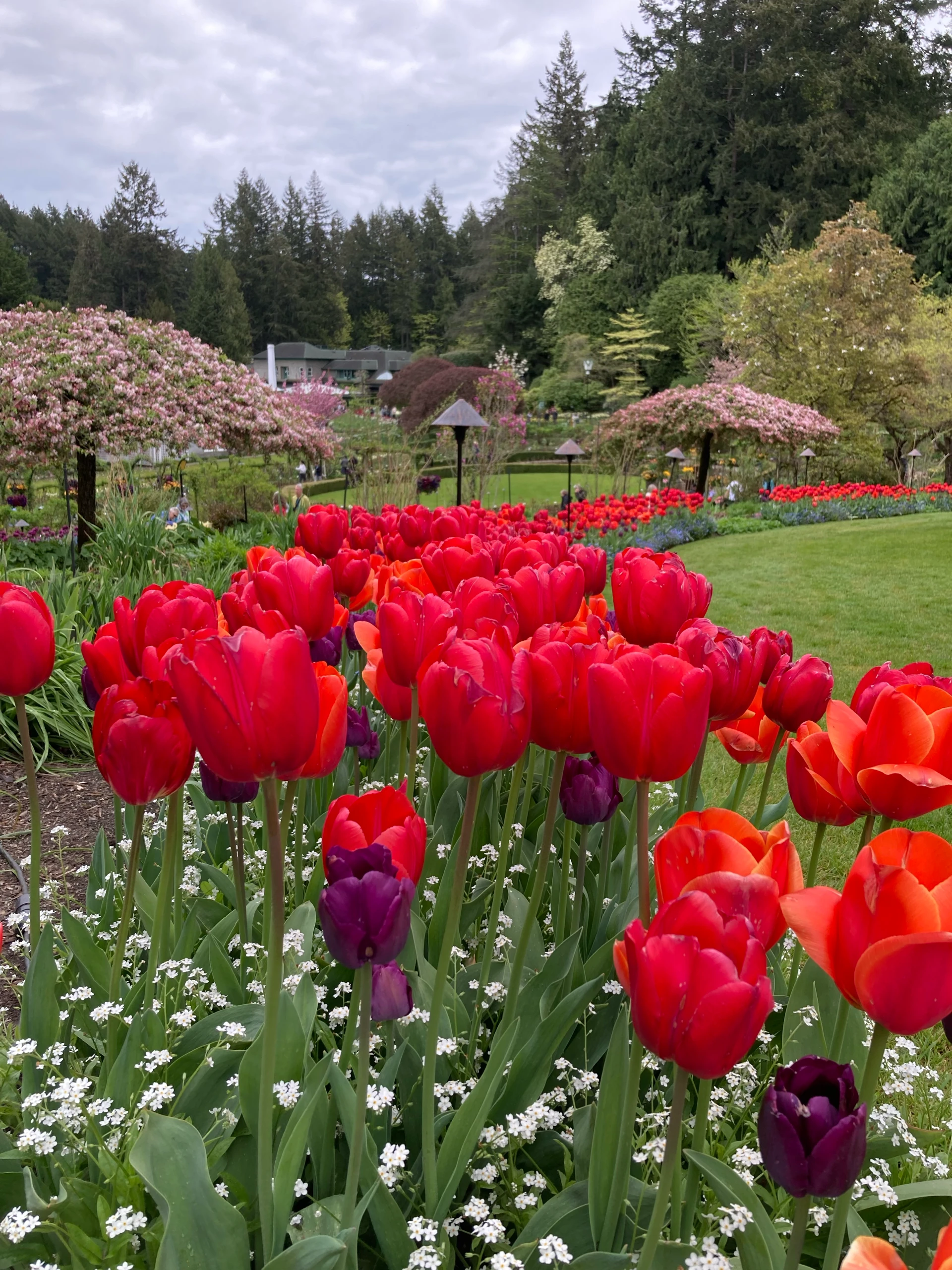 Buchardt Gardens