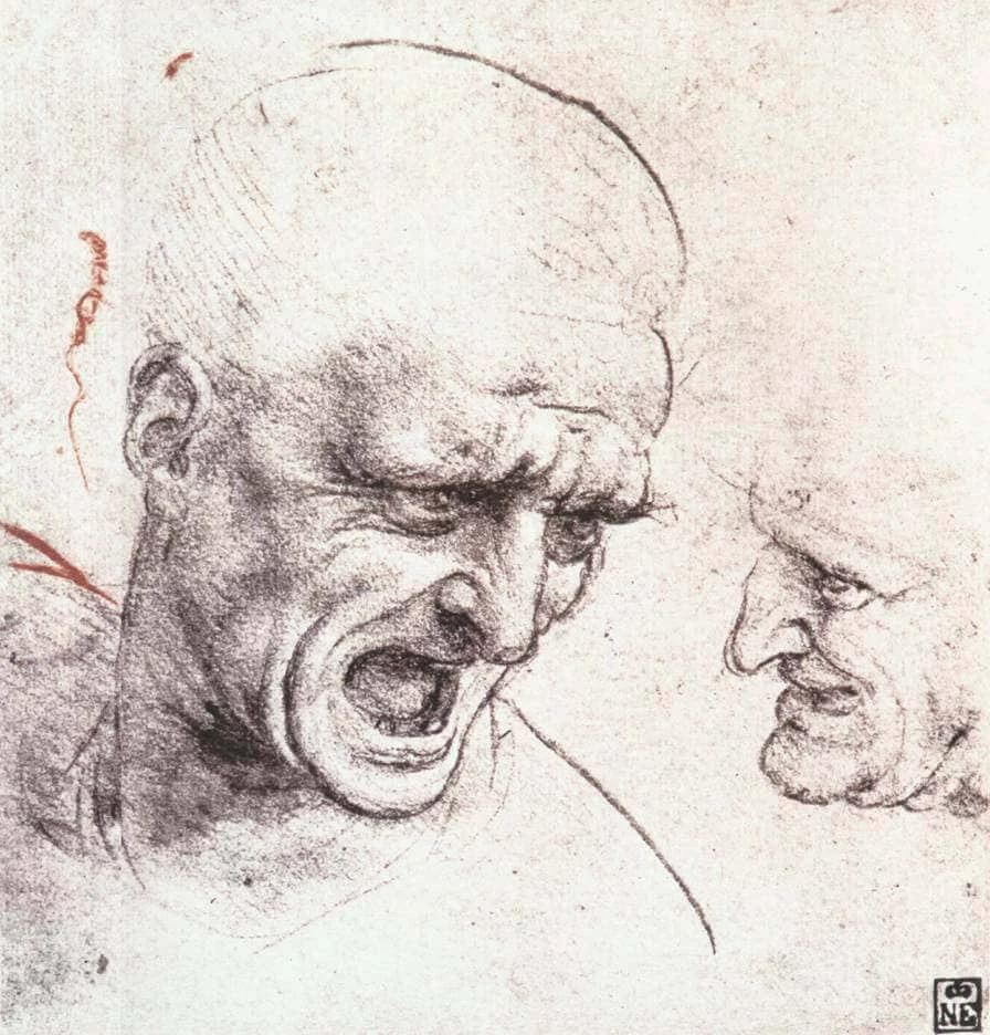 Studying Da Vinci’s drawings. Looking close and Analyzing his lines, wow the awareness he had was incredible. The height of an art master 🙏