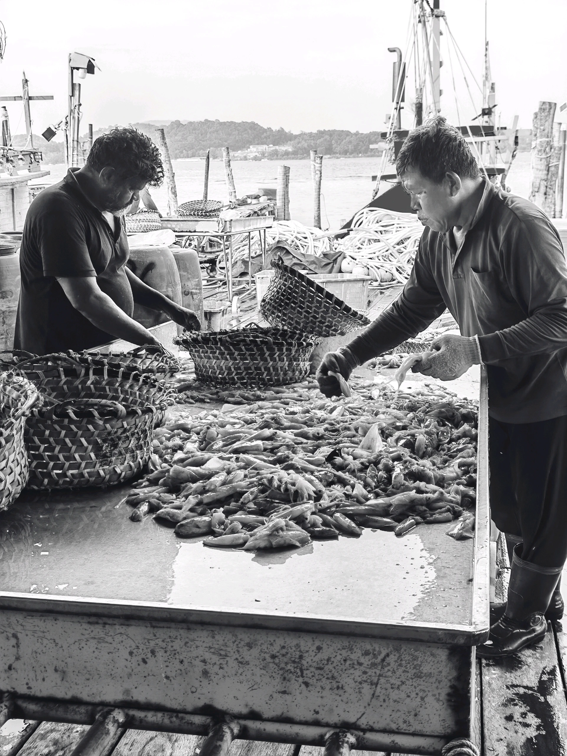 Fish and food
