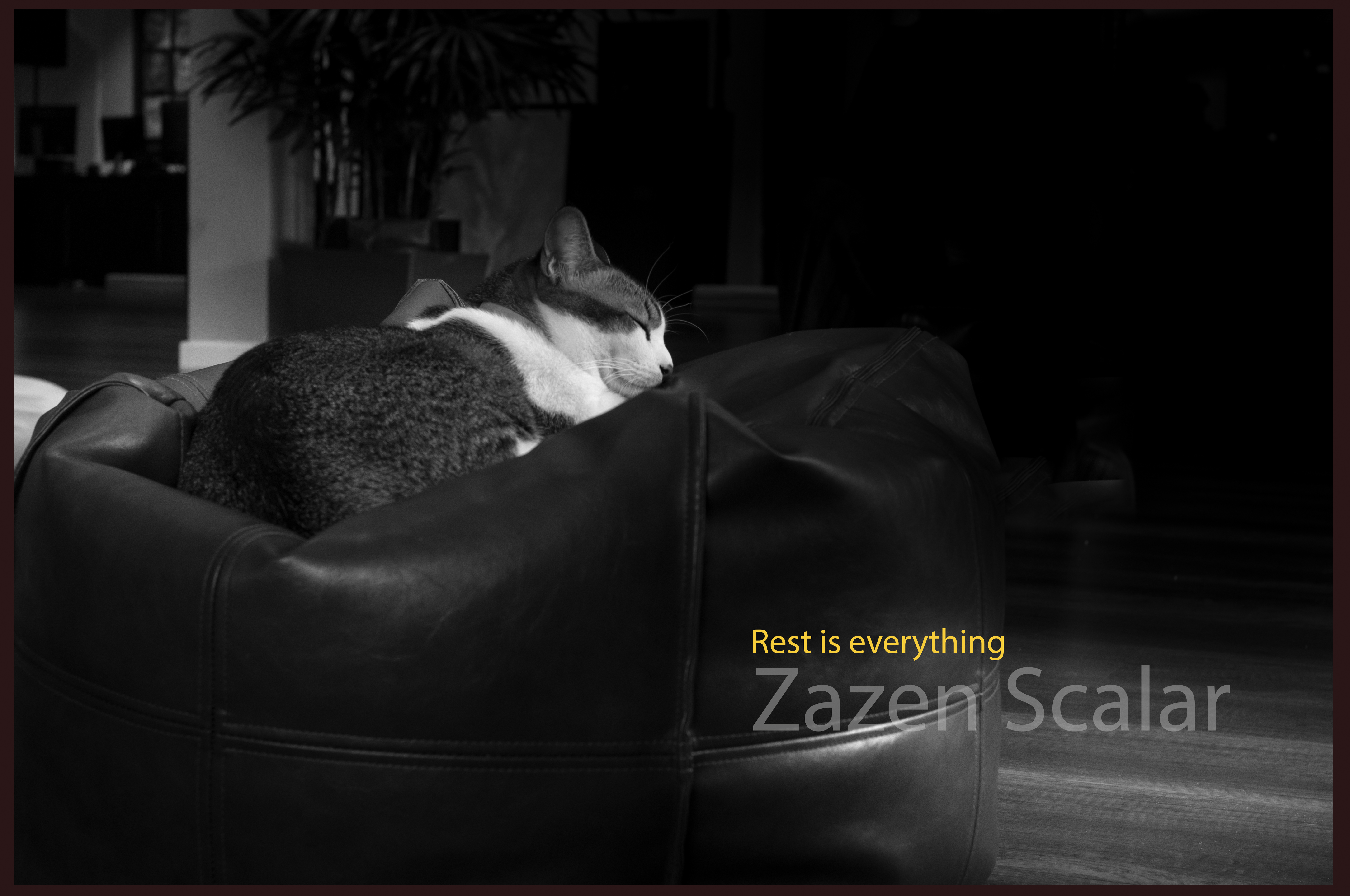 zazen scalar