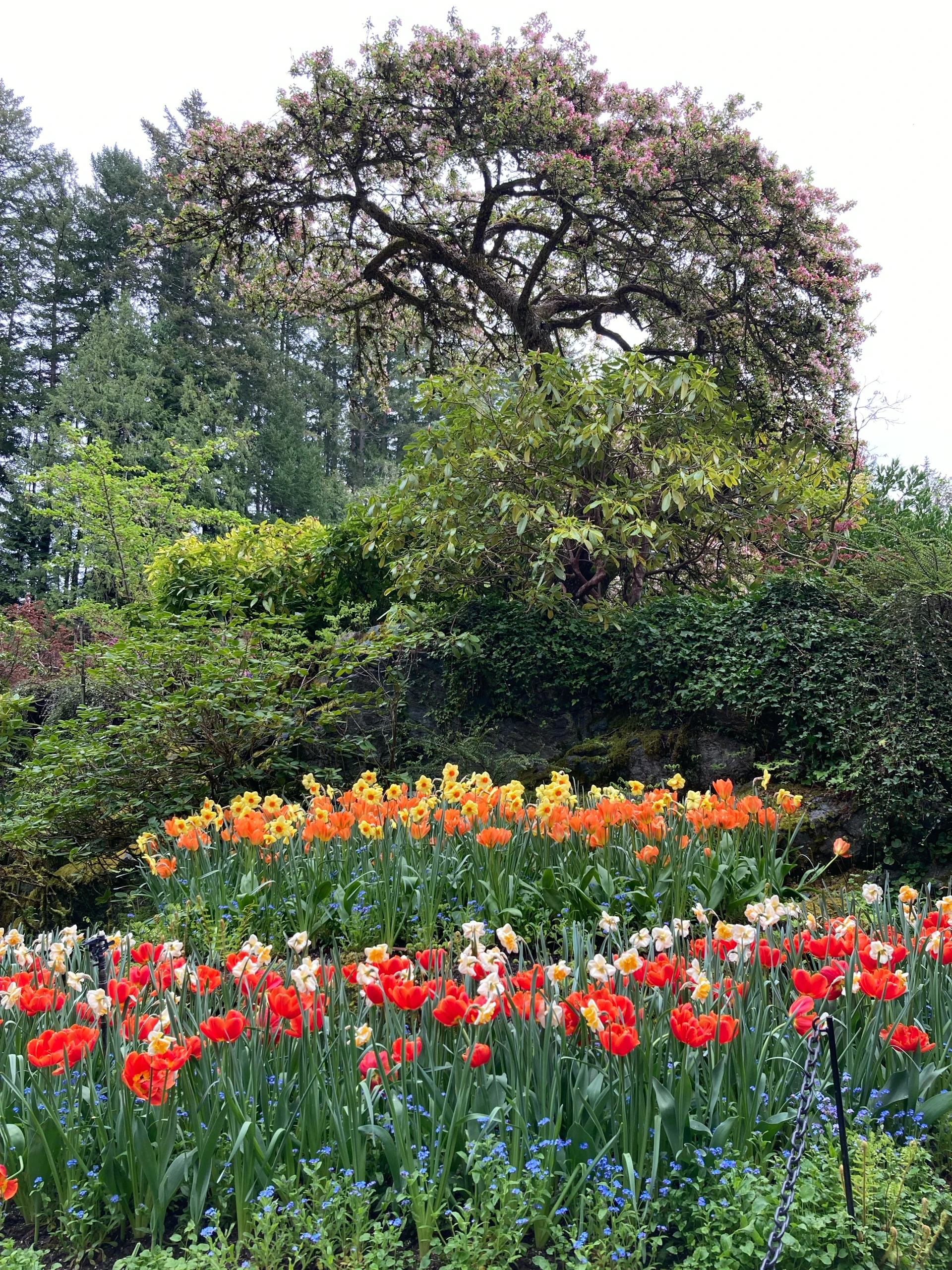 Buchardt Gardens
