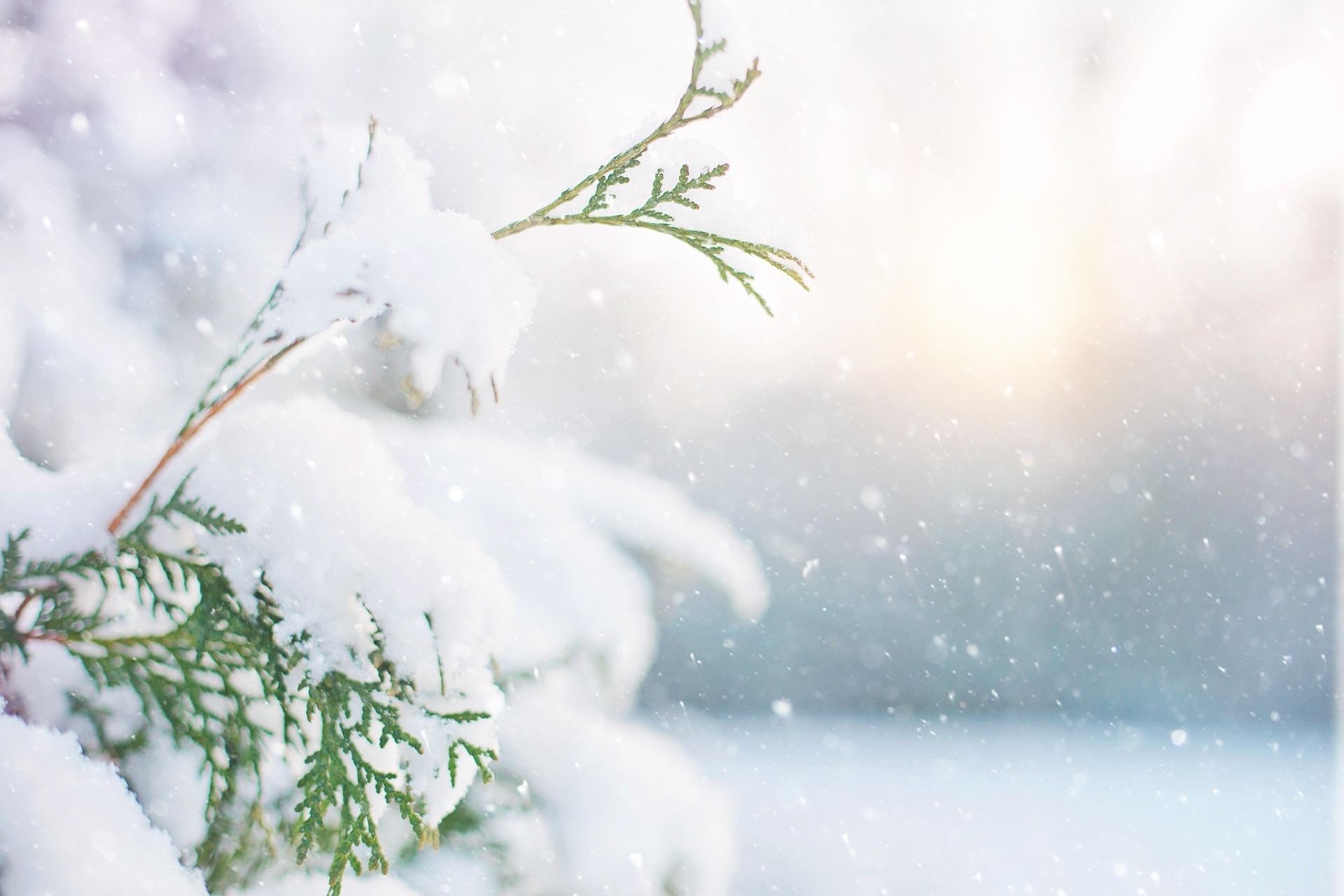 Moving Well in Winter