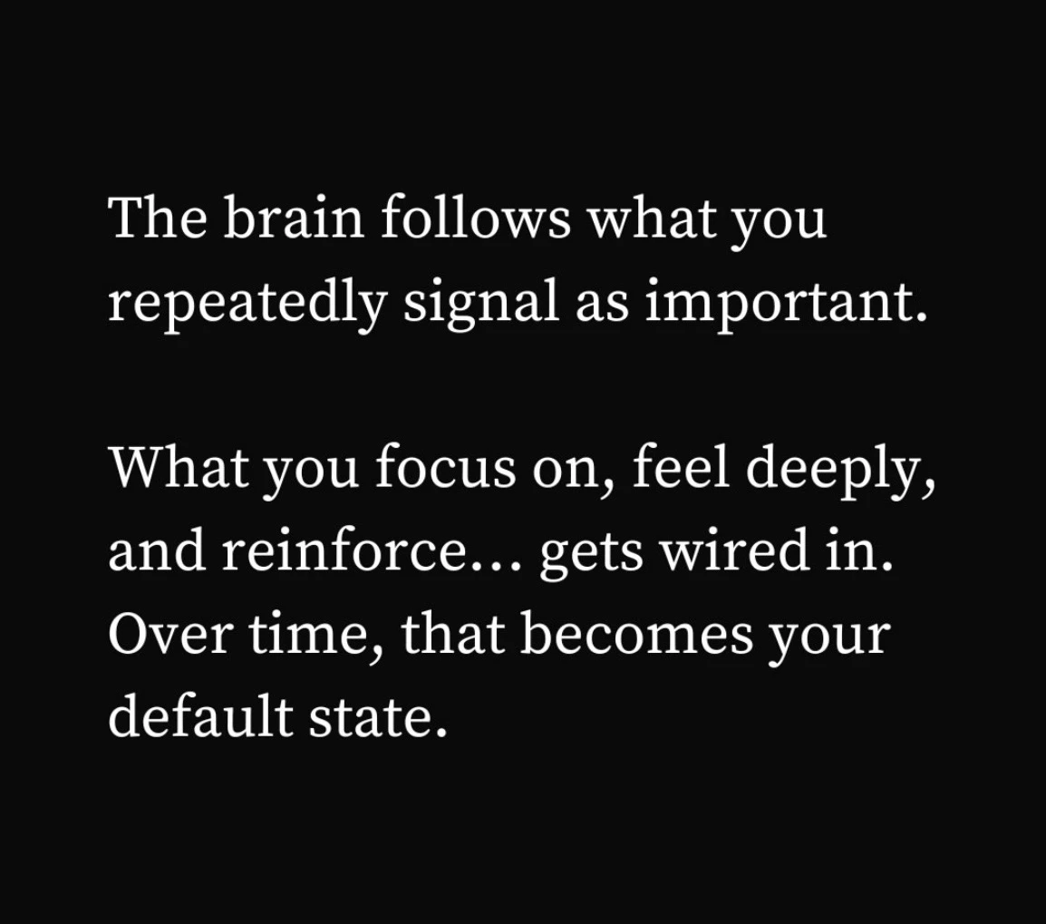 The brain and manifestation