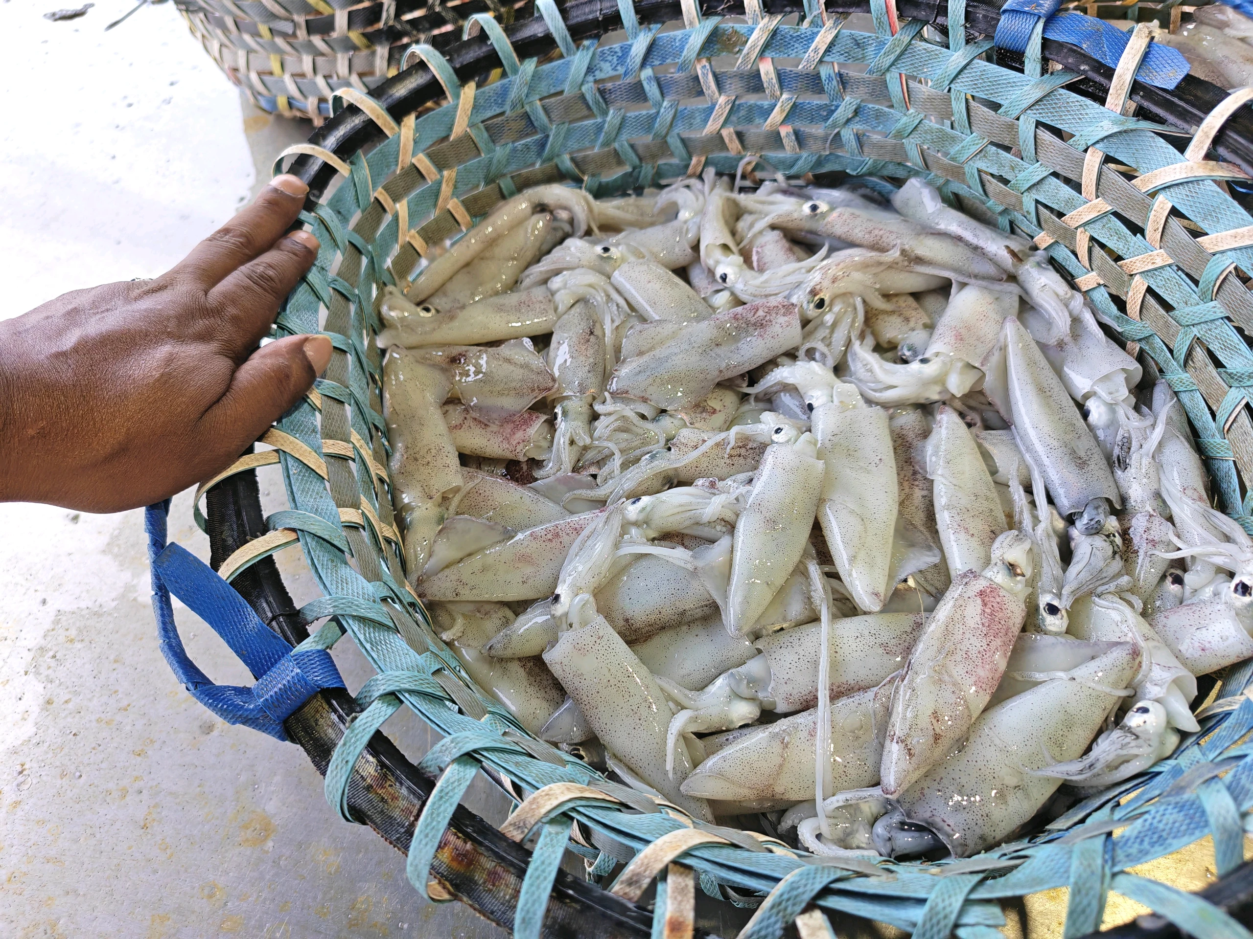 Fish and food