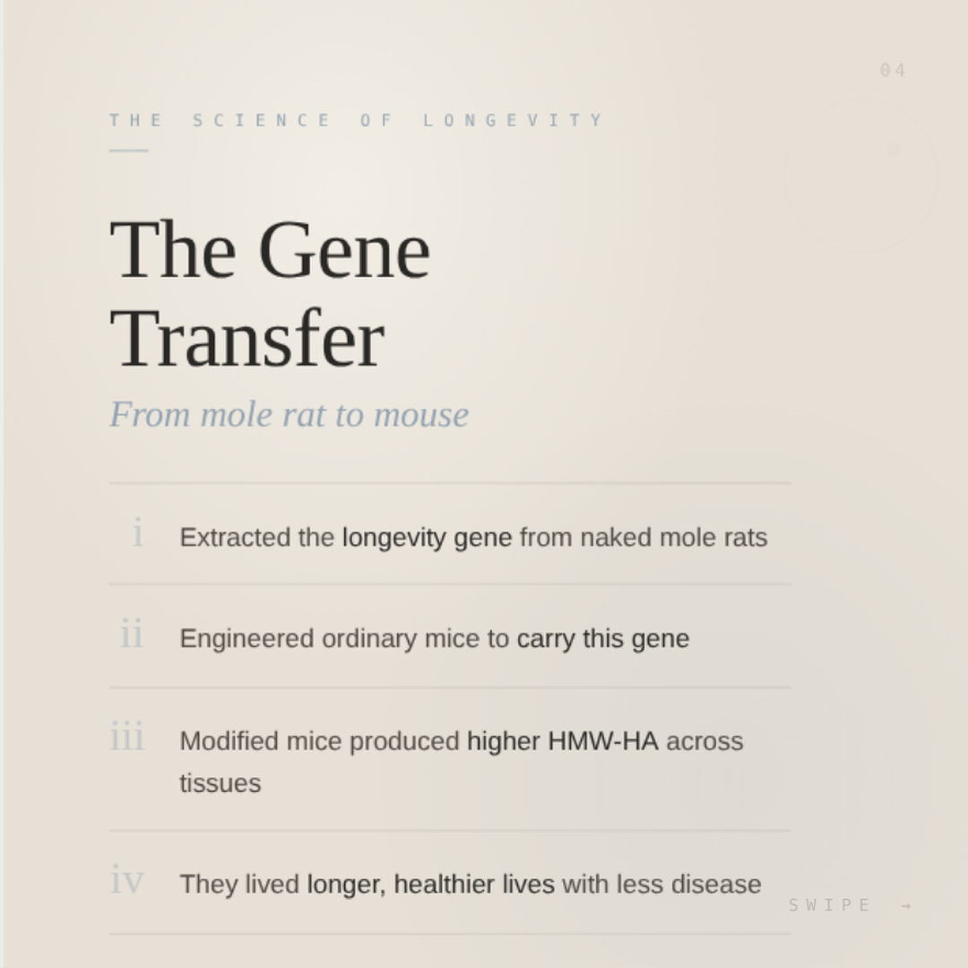 The molecule your body is losing.