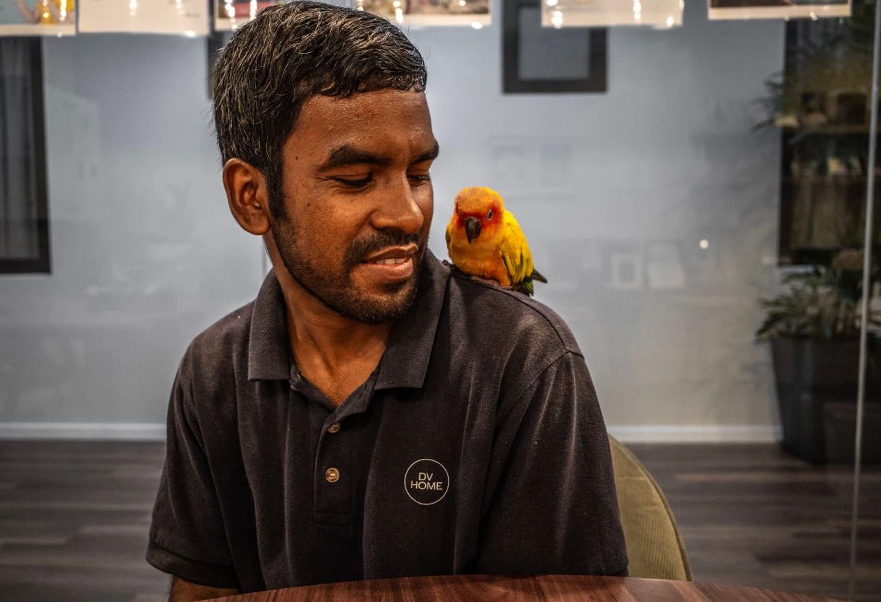A feathers friend in the office