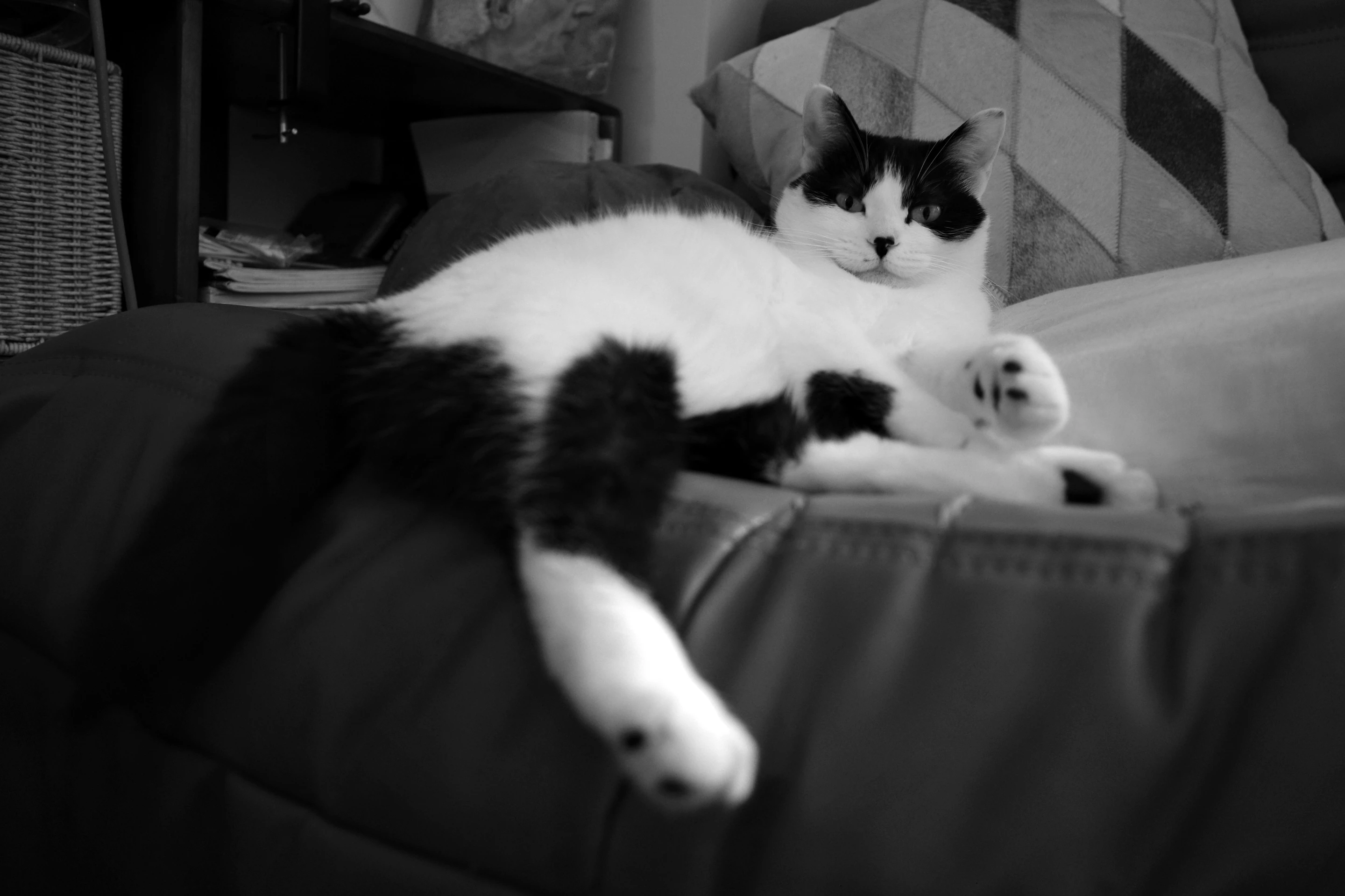 Her favorite spot
