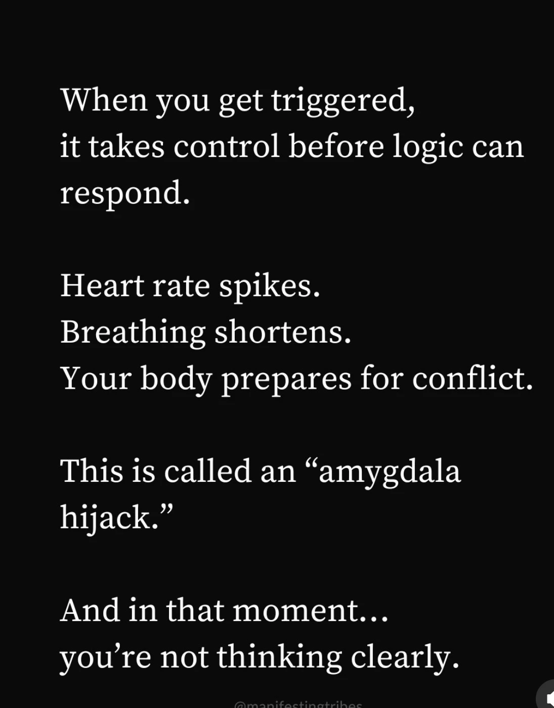 Amygdala vs Prefrontal cortex