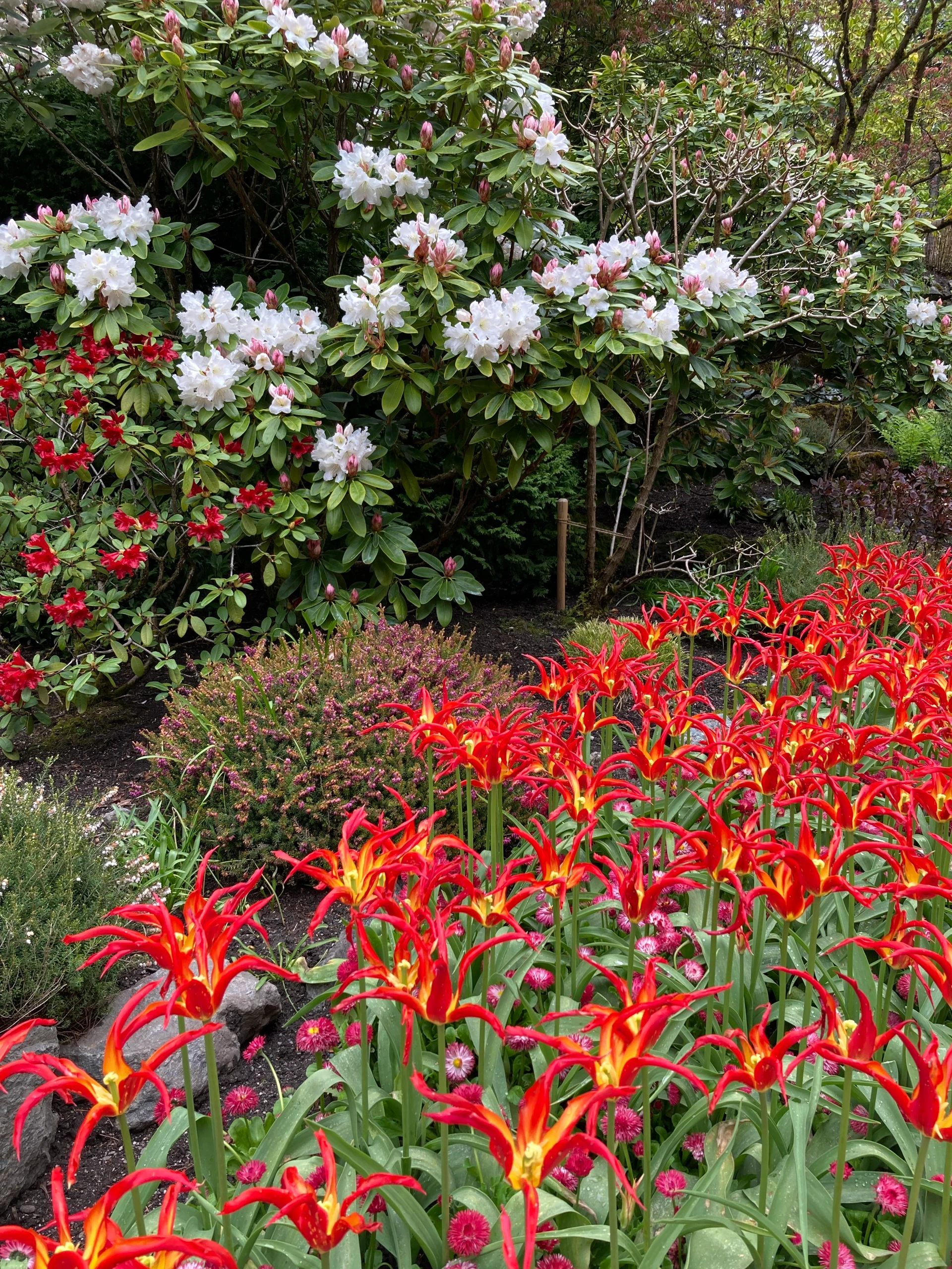 Buchardt Gardens
