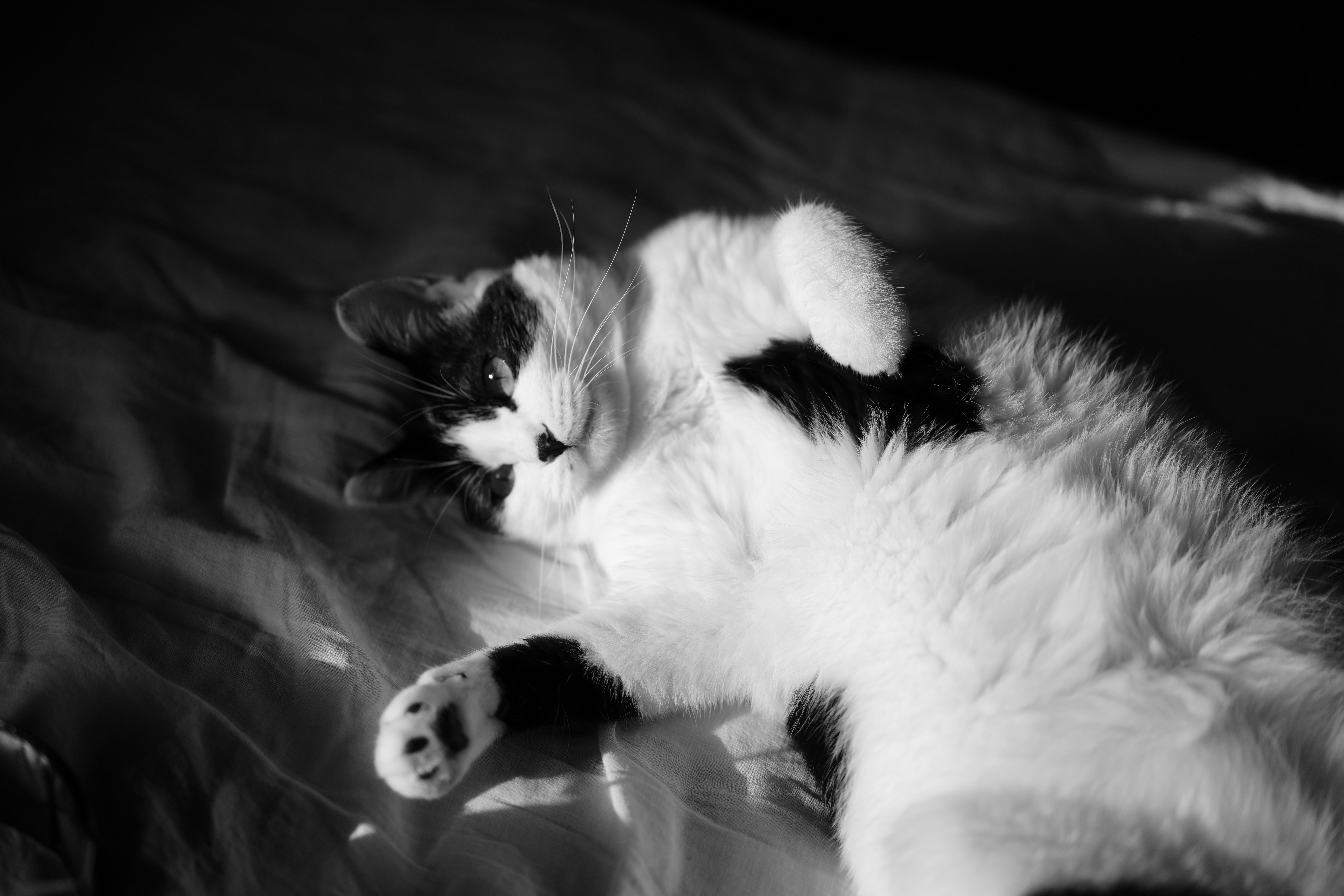 Photography Practice