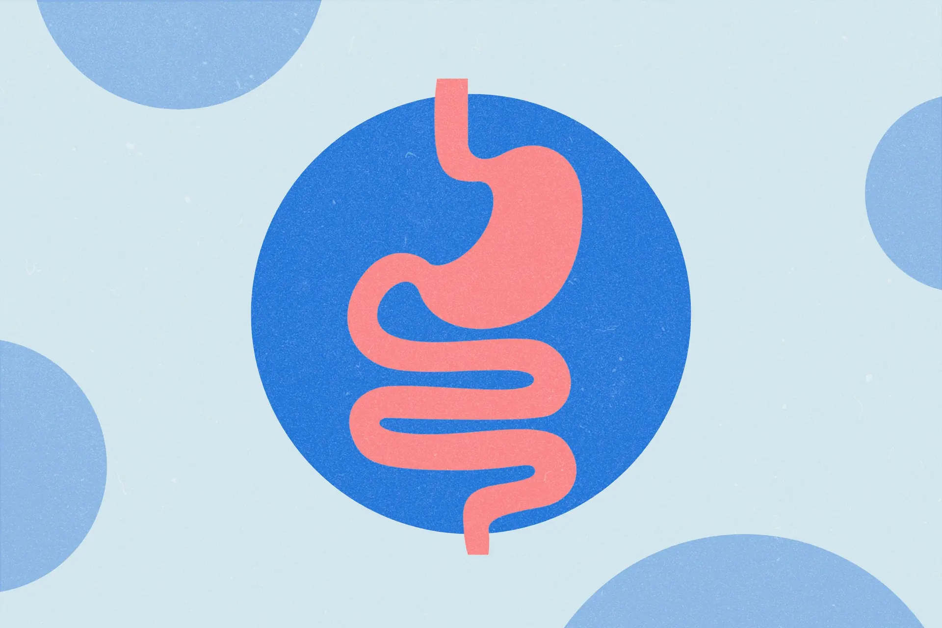 gastro-advice-001.webp