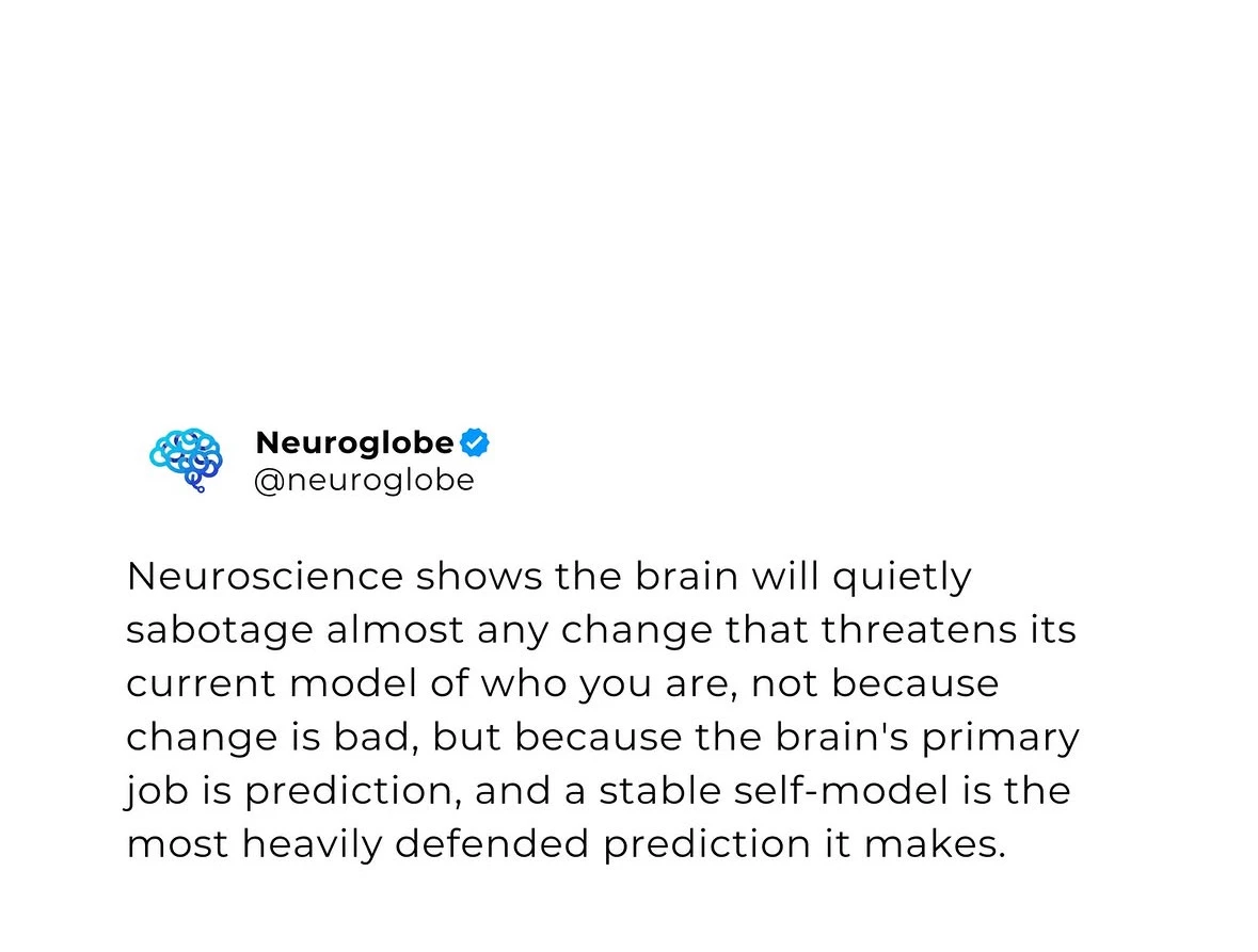 The brain and identity!