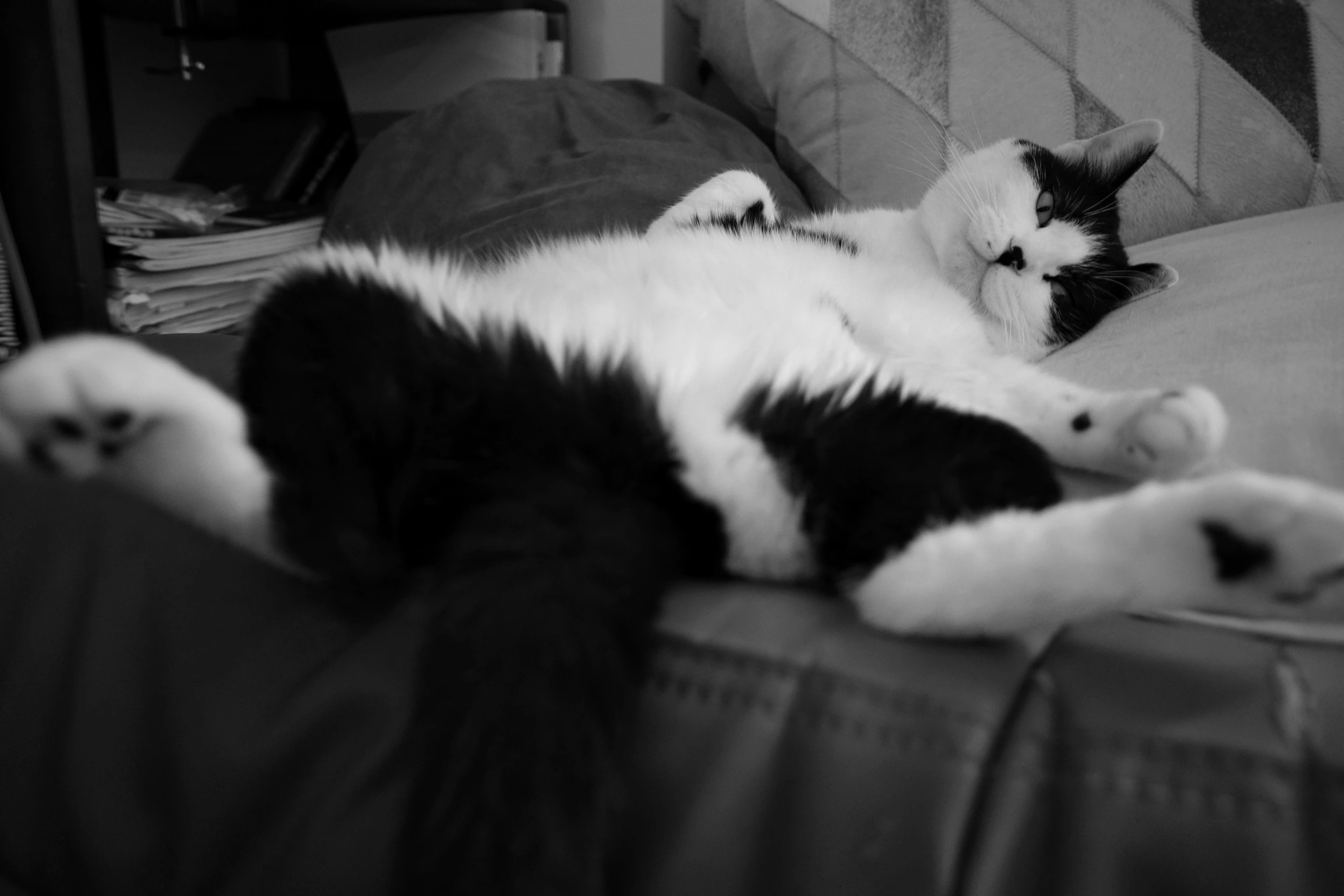 Her favorite spot
