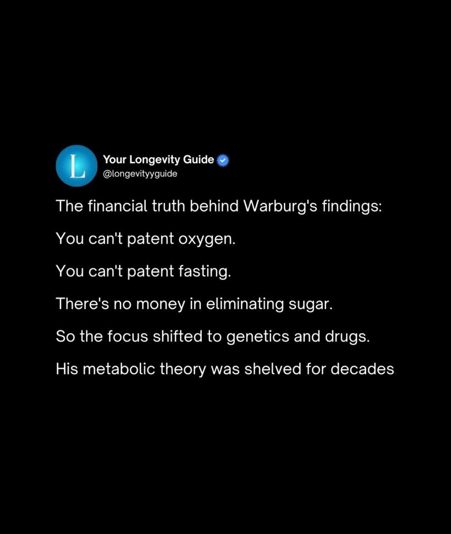The Warburg Effect